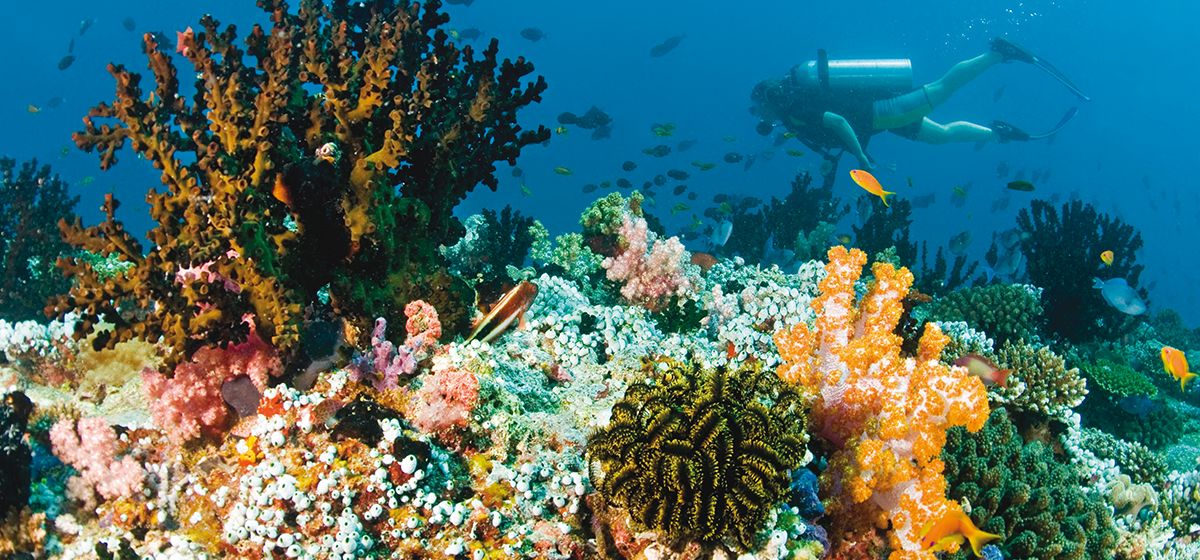 Baros-Maldives_Diving_HR3.png