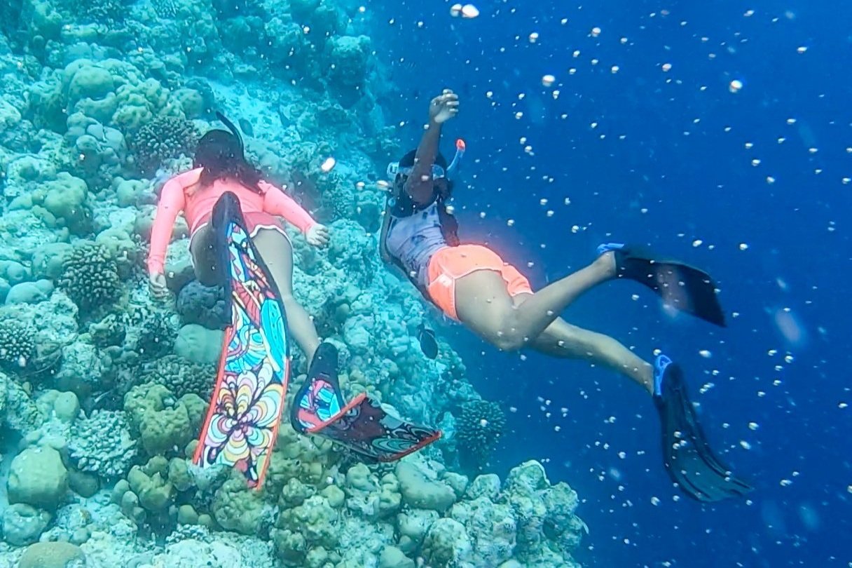  Soneva Snorkeling 