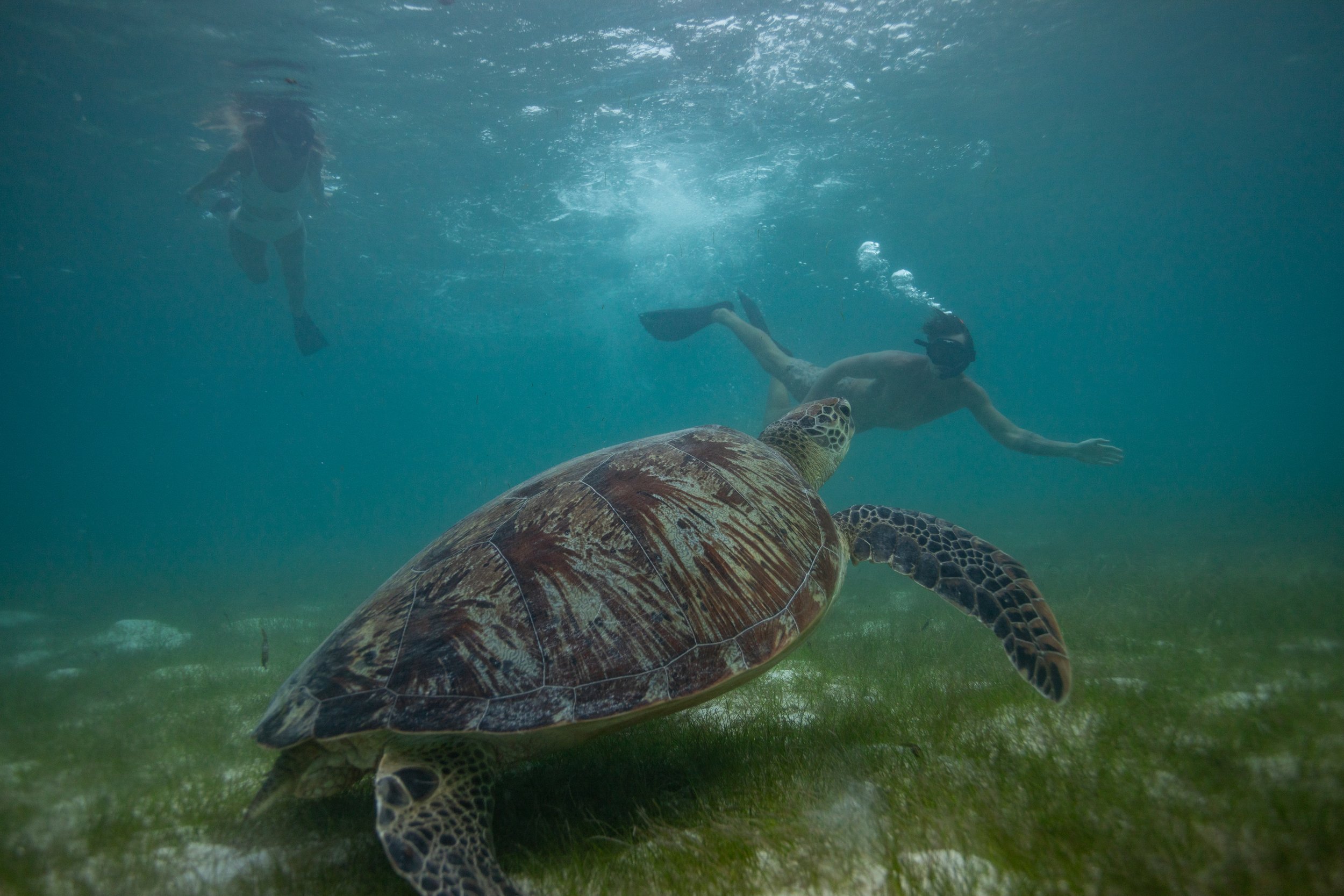  Six Senses Sea Grass Treasures 