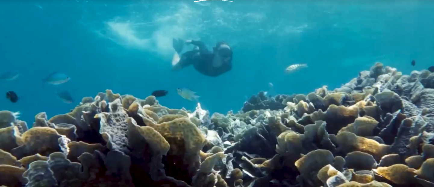  Snorkelling 
