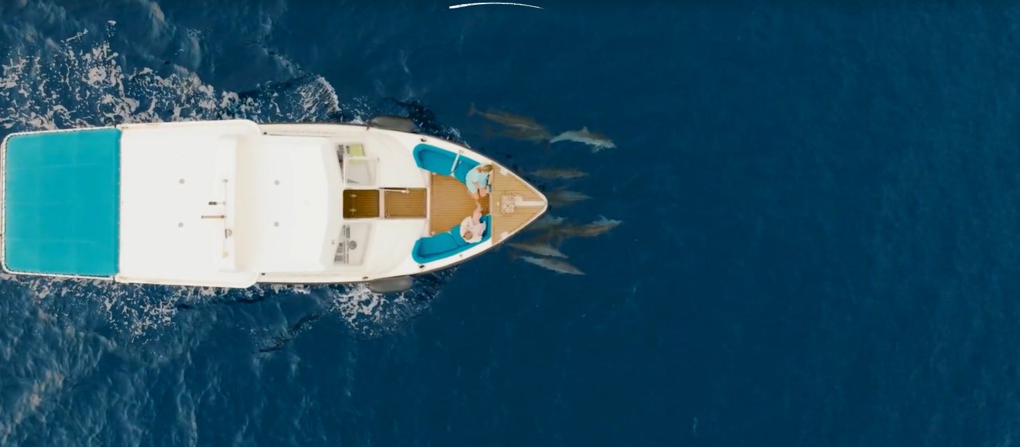  Dolphin Cruise 