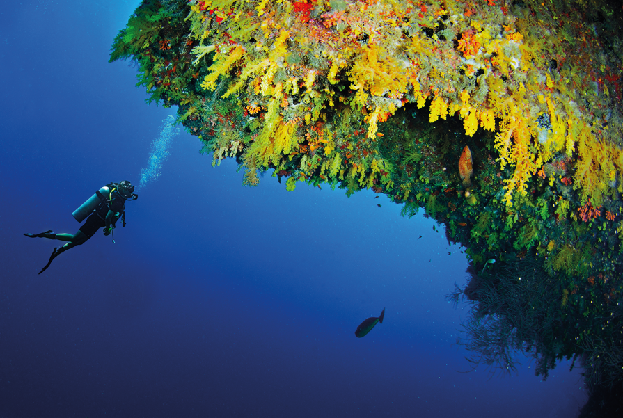  Diving at Anantara Kihavah’s House Reef 