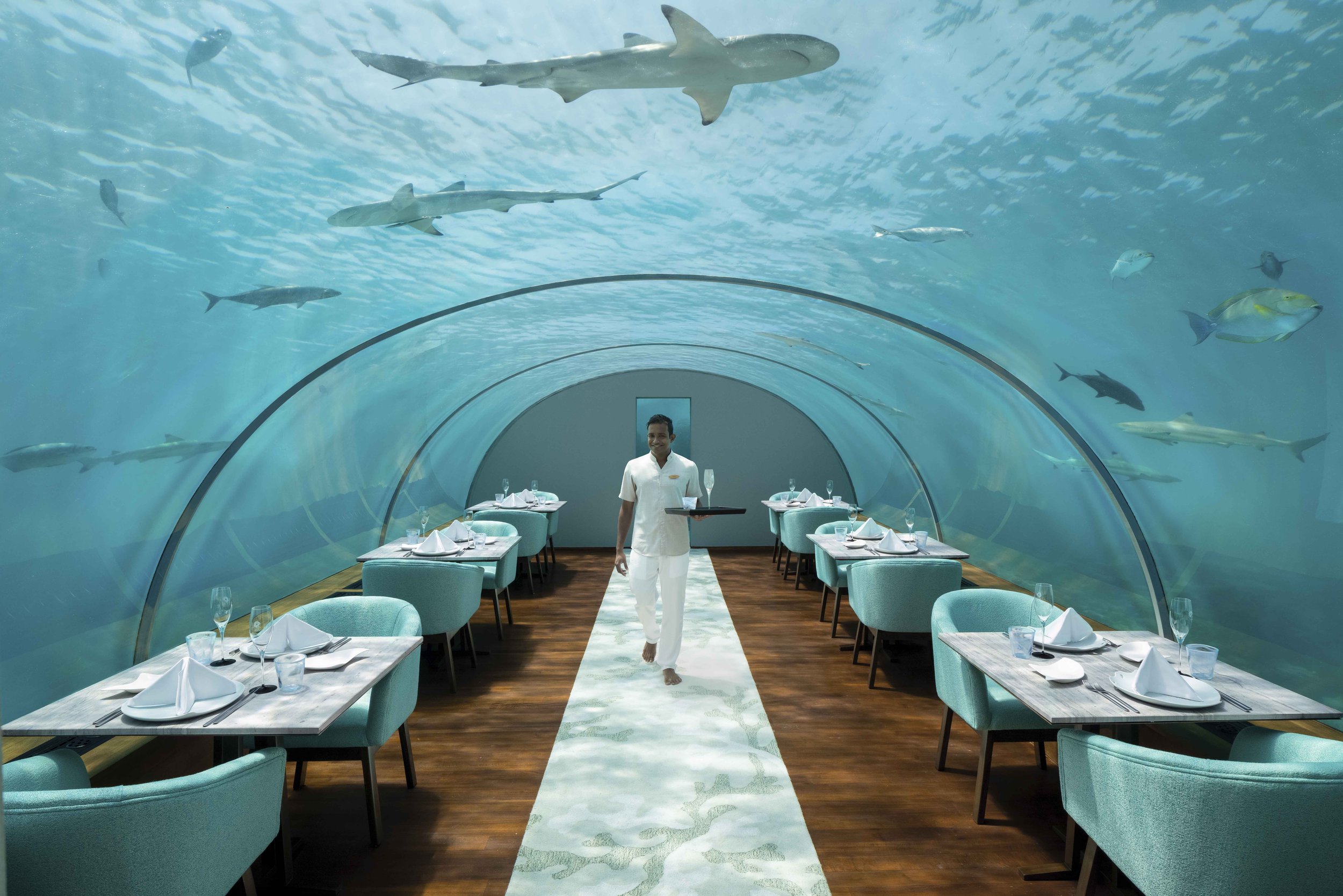 Ithaa Undersea Restaurant 