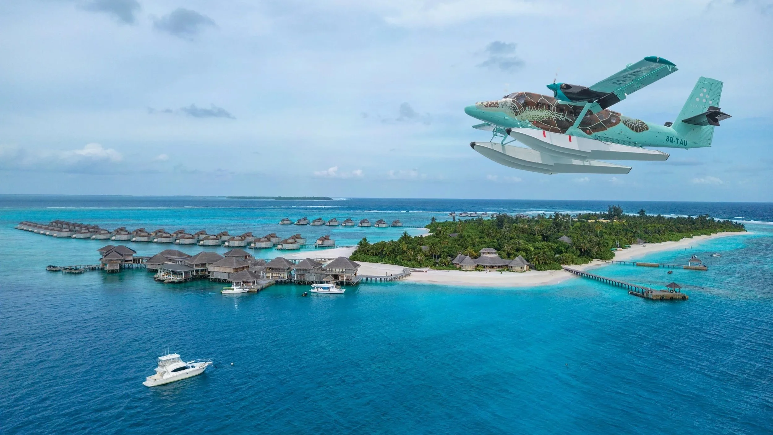 Flying Turtle 02.jpg