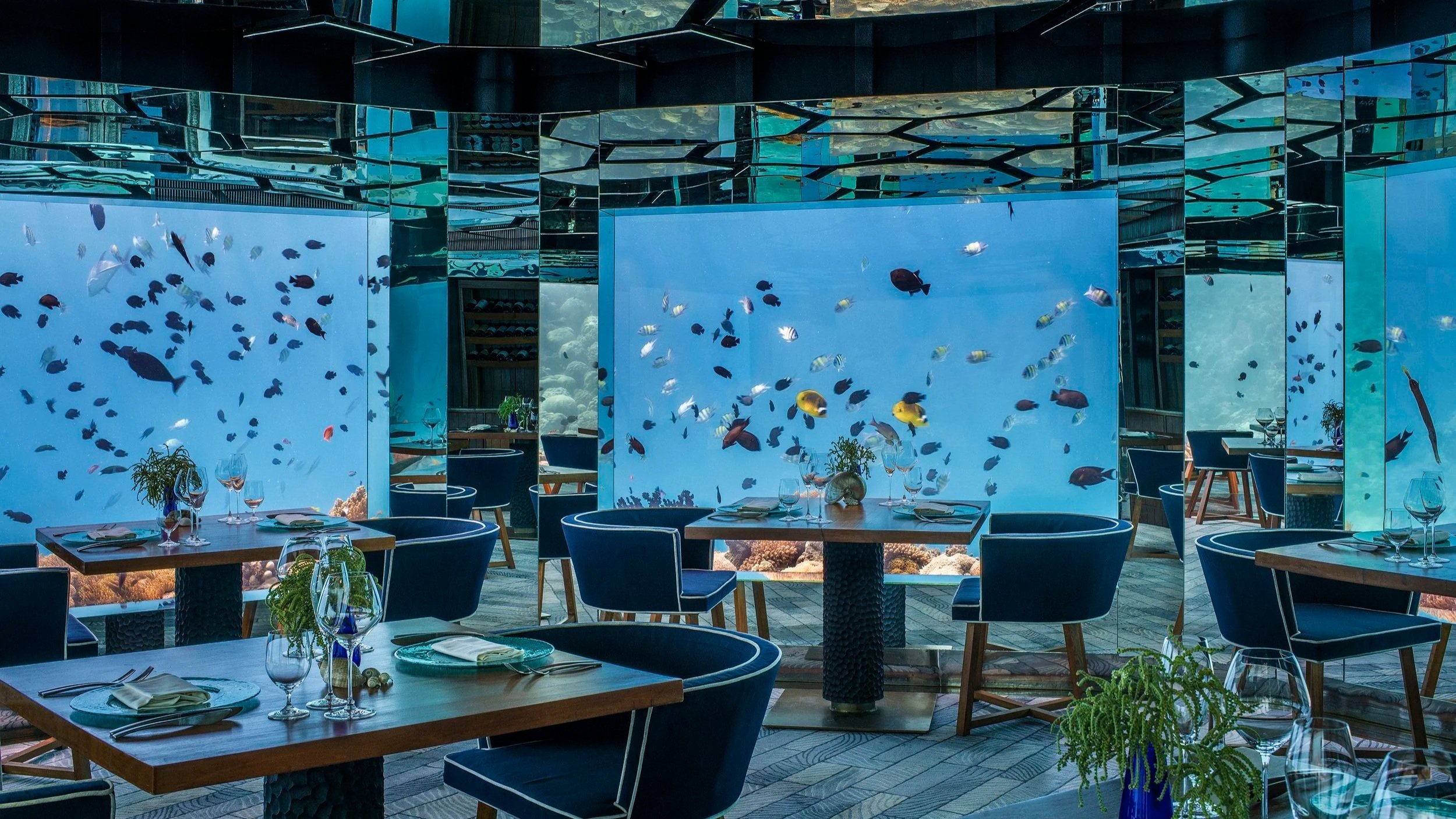 Anantara Kihavah - SEA Underwater Dining Interior.jpg