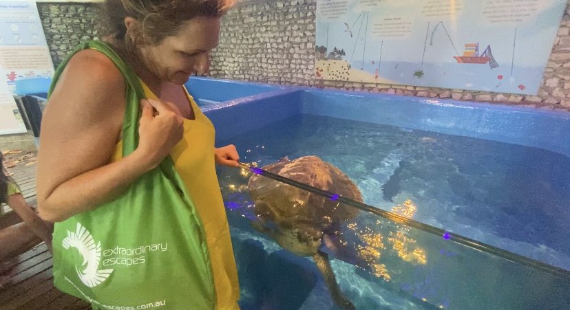 Jodie standing next to a tank with an injured sea turtle