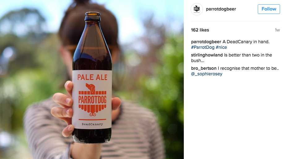 Photo borrowed from the Parrotdog instagram account: https://www.instagram.com/parrotdogbeer/