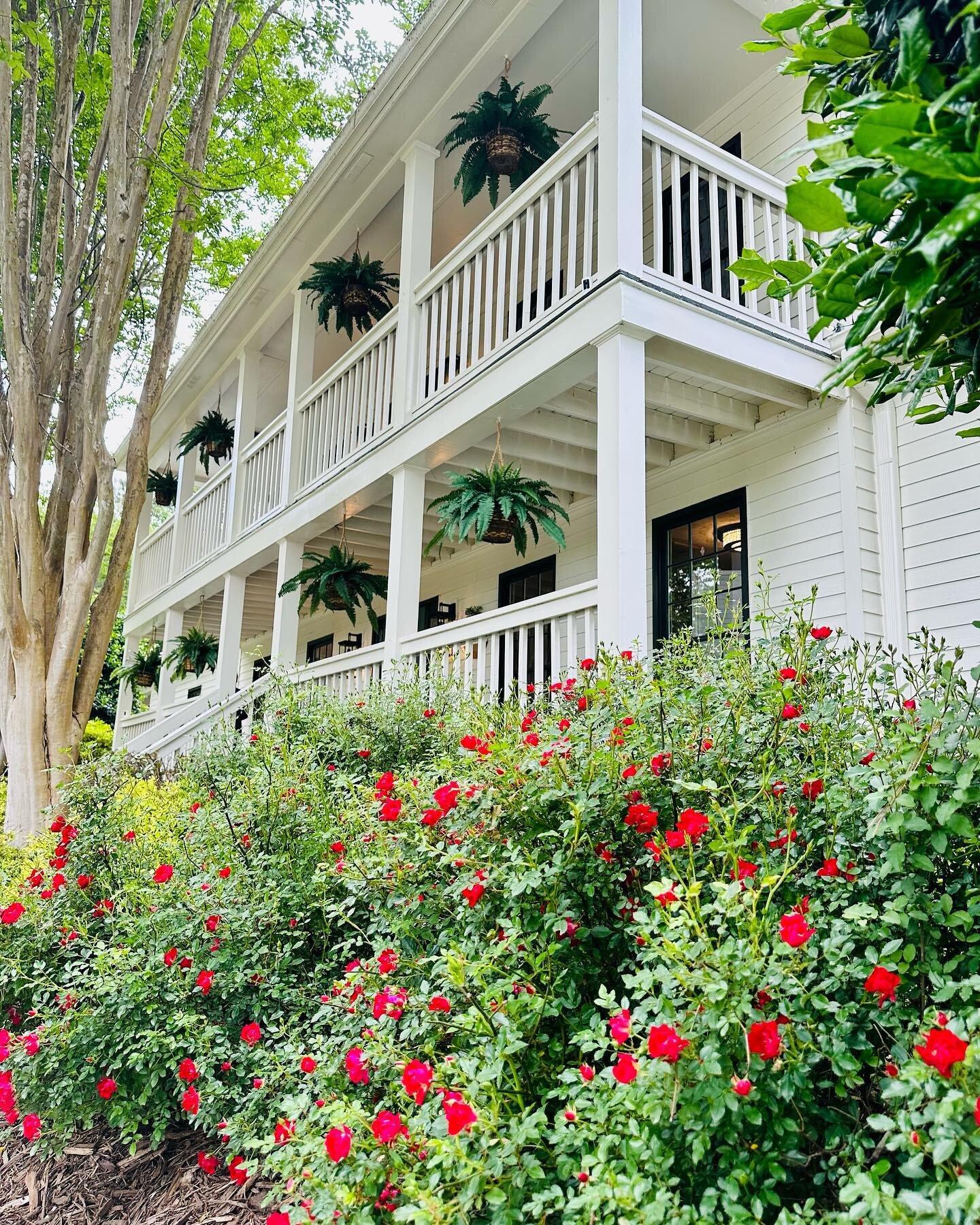 Adriana + Jesus 🌸💕 One of our favorite playlists to date 🎶 Congrats 🍾🥂 Thank you to the @bradfordhouse_gardens for your amazing hospitality! The Bradford House has the perfect southern charm 🍑 #southerncharm #southernweddings #southernwedding #