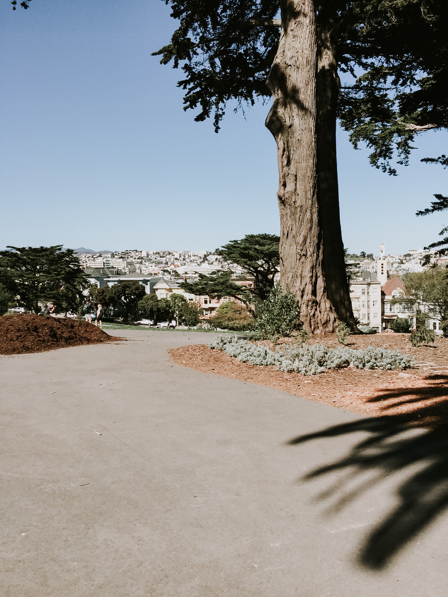 Our trip to San Francisco - the painted ladies park