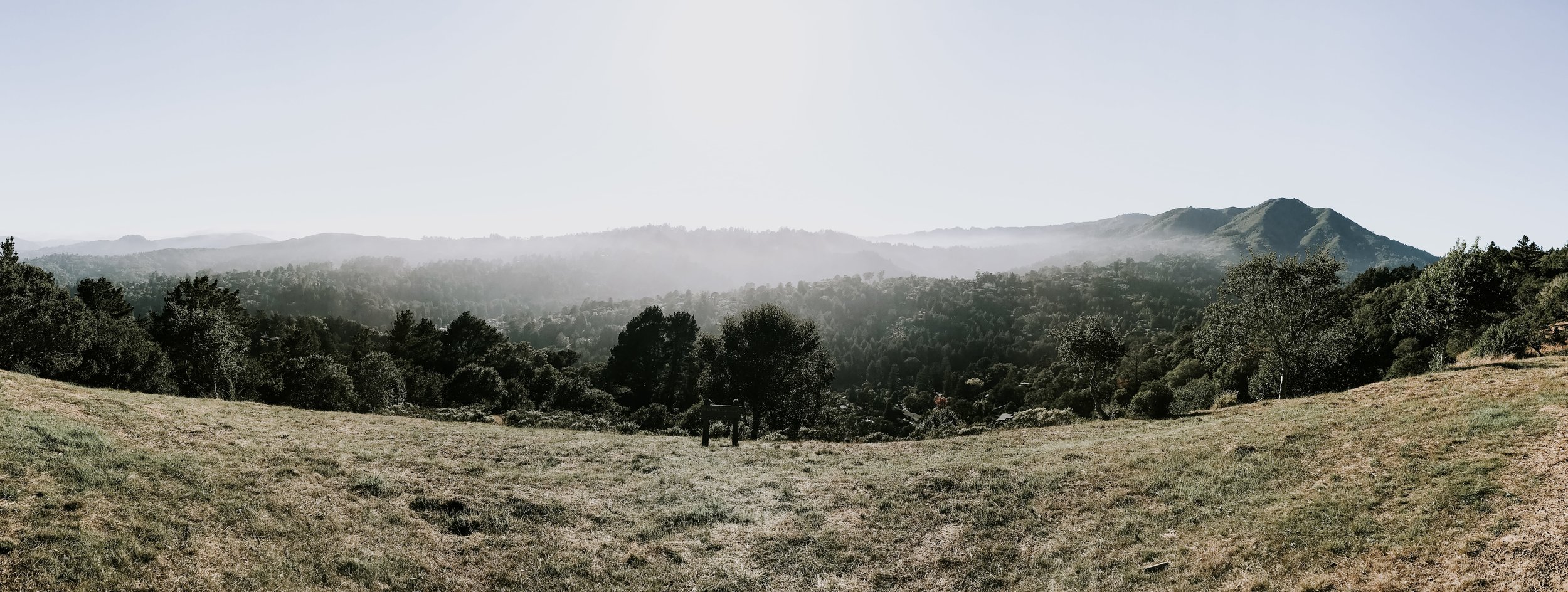 Our trip to San Francisco - hiking in the Mill Valley mountains