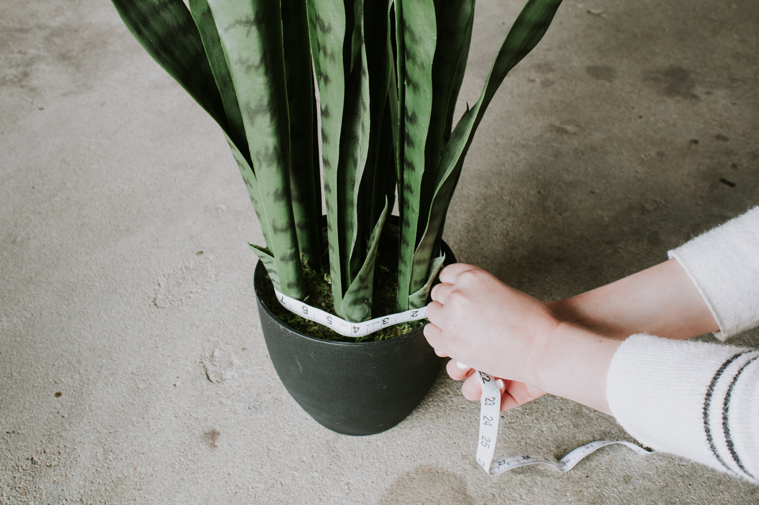 HOW TO MAKE A FAUX PLANT LOOK REAL Nadine Stay