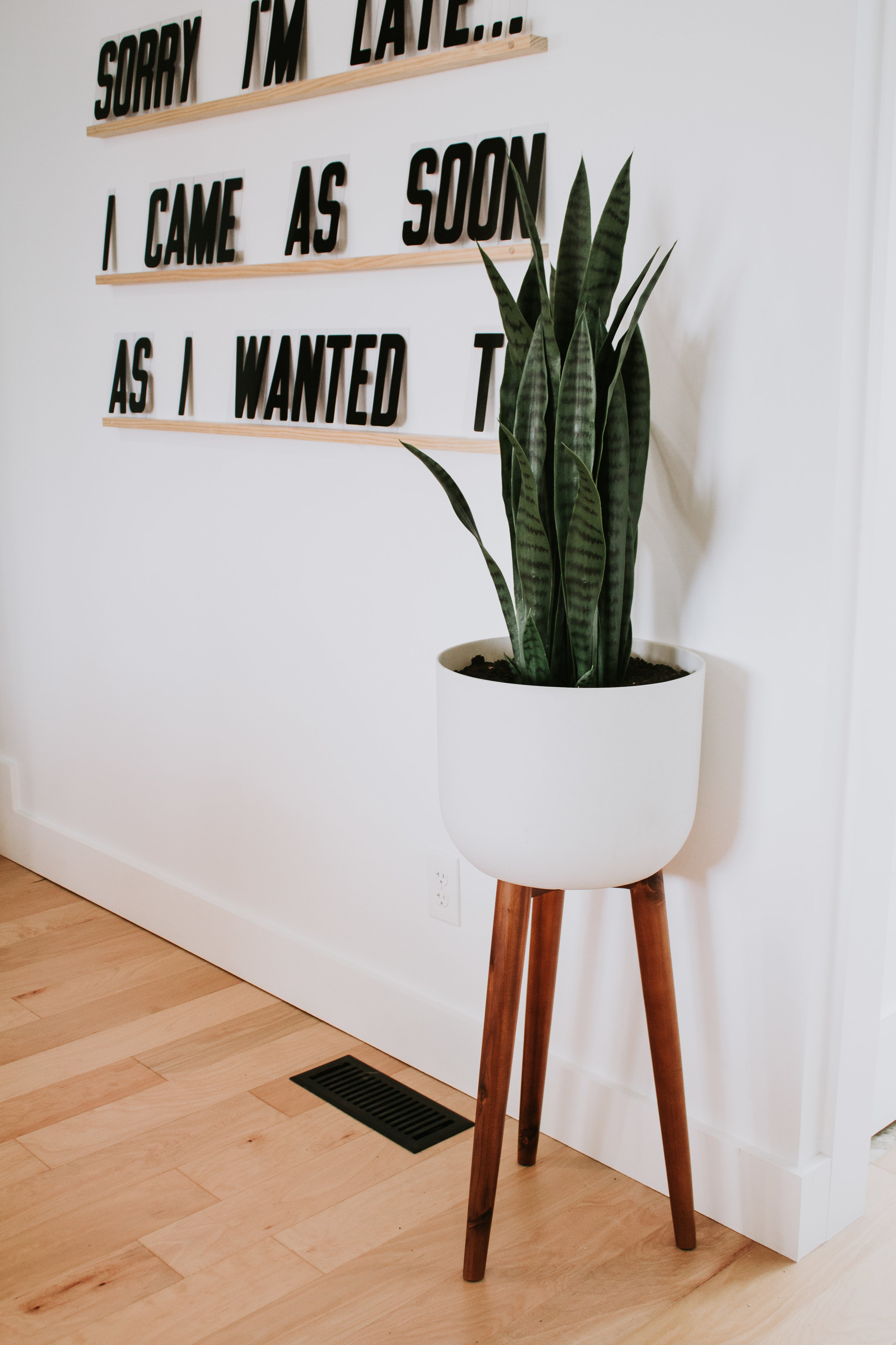 How to make a faux plant look real - DIY by Nadine Stay.  Interior design tips for fake plants. Use supplies you have in your home to make a faux plant look real.