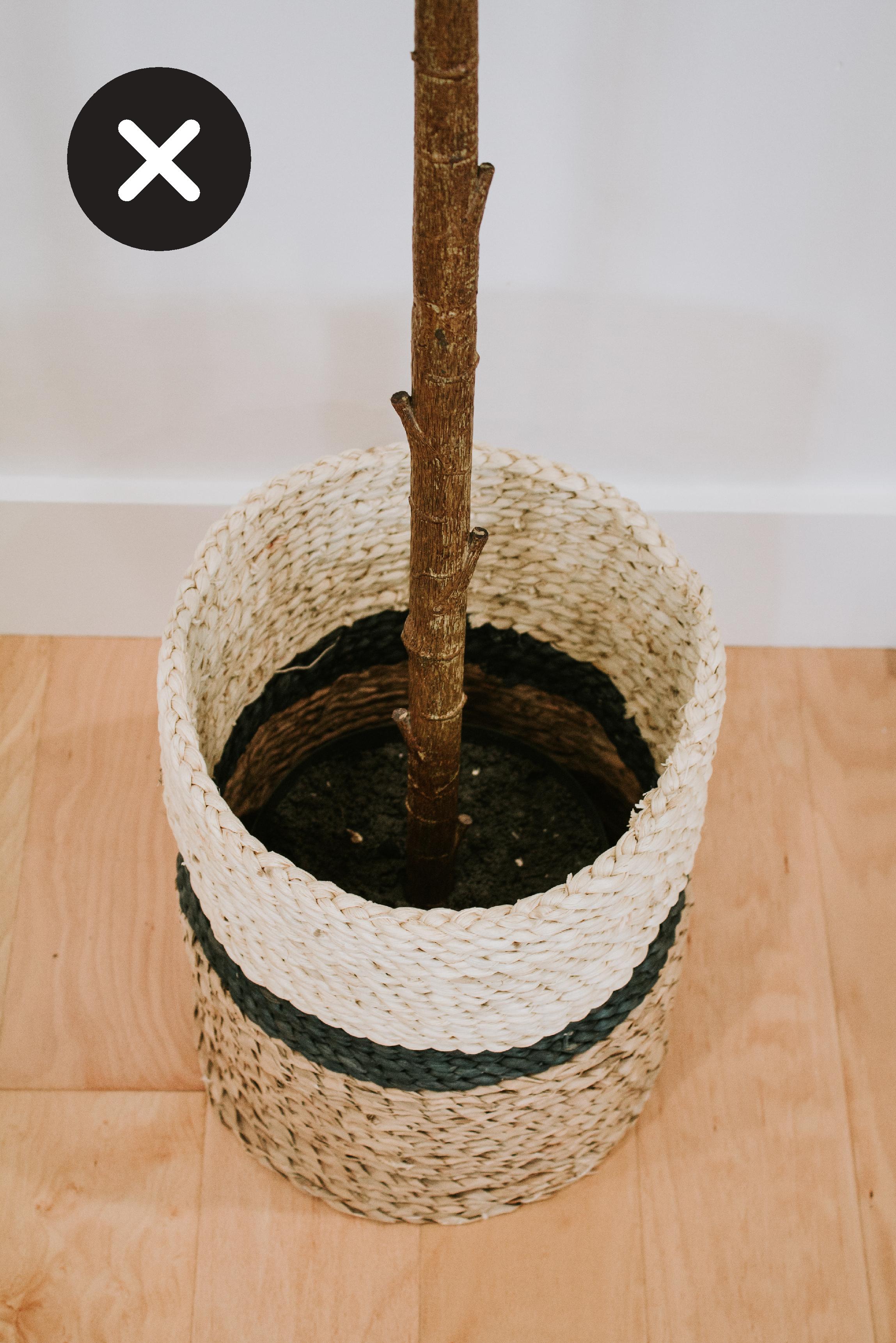 Not ideal: The non decorative pot the faux plant comes with sitting in a woven basket without any soil.