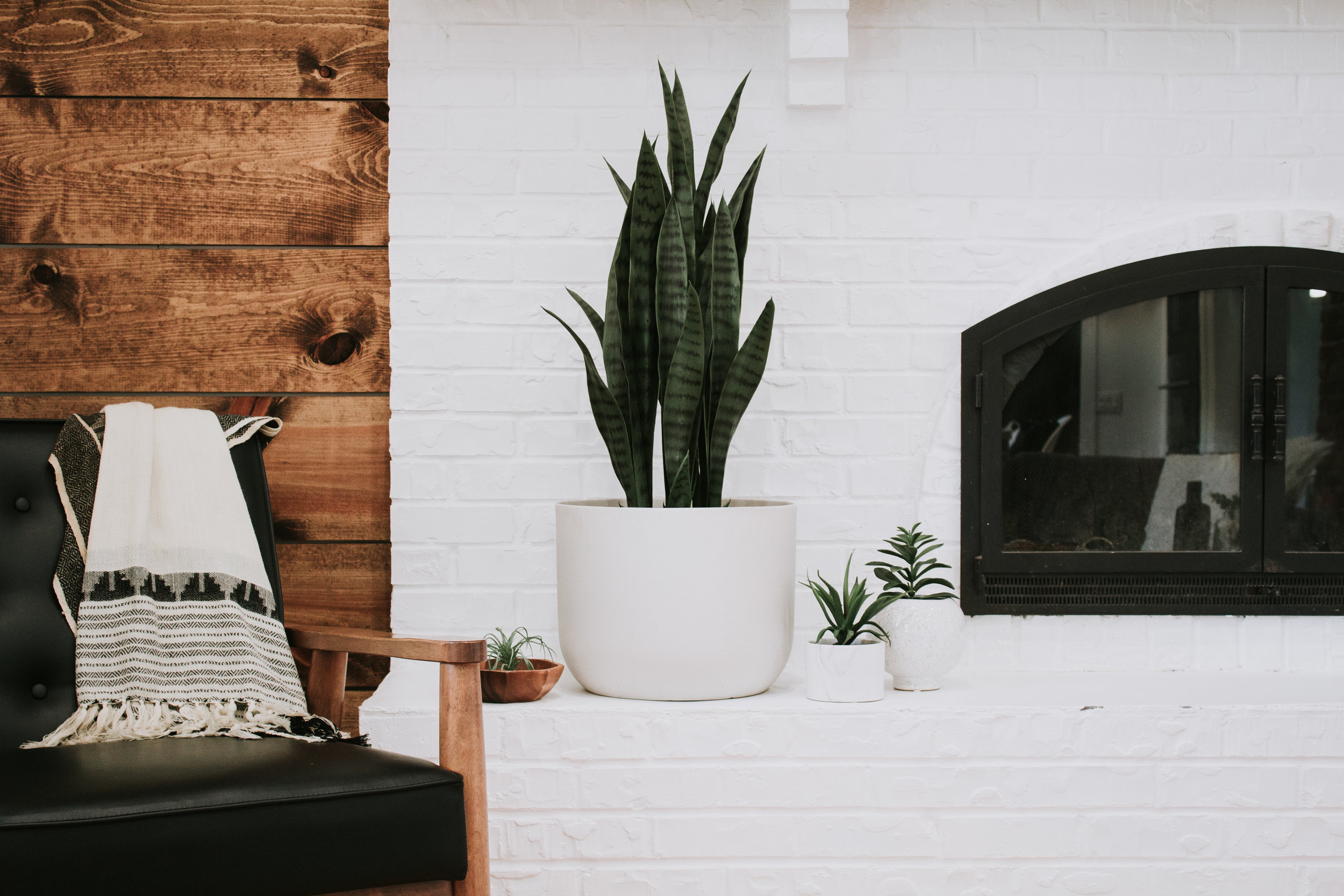 9 Faux Plants That Actually Look Real - Fiddle Leaf Fig, snake plant, birds of paradise palm tree, banana leaf tree, succulents, and faux stems. Fake indoor plants by Nadine Stay