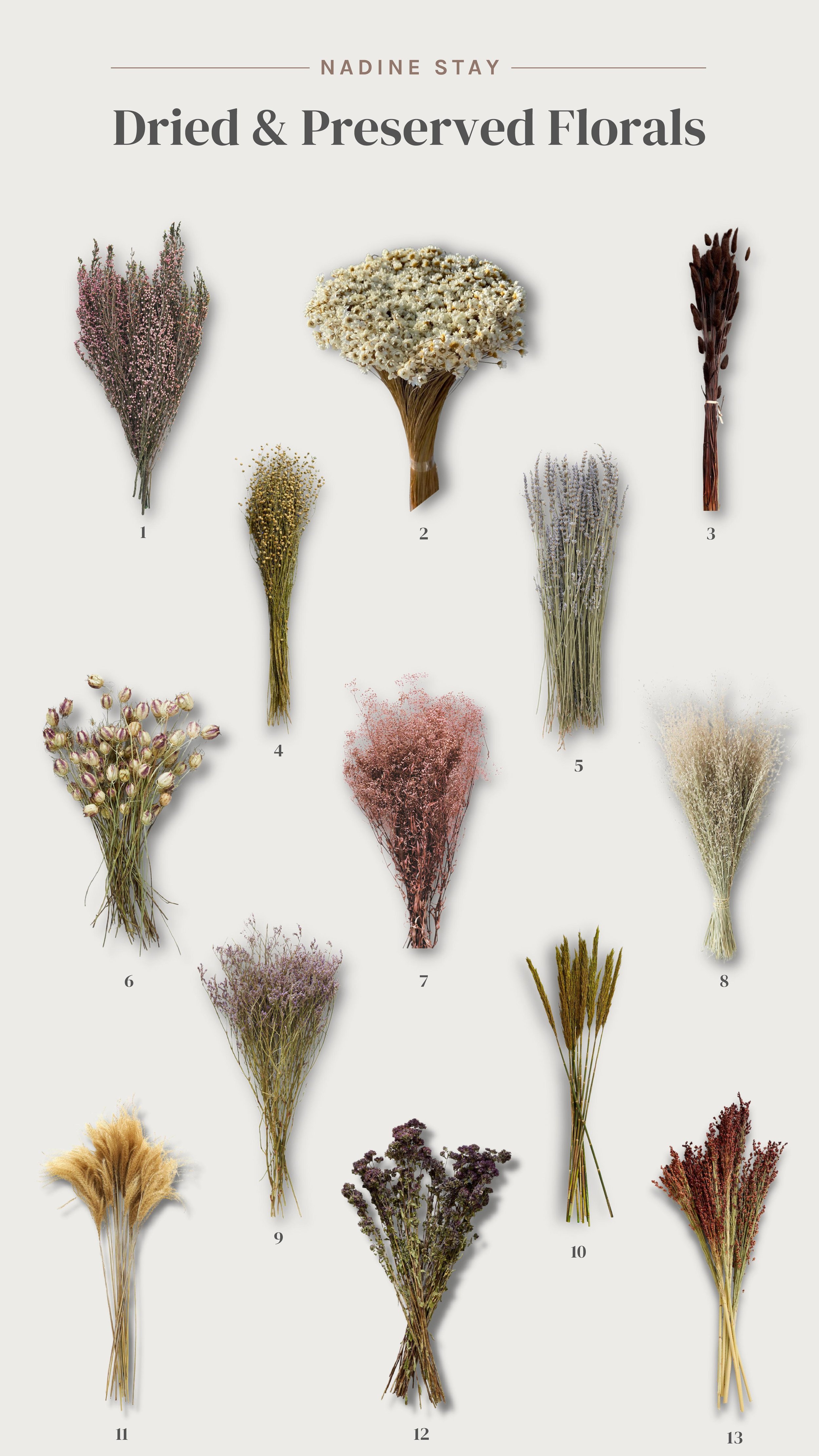 Swapping faux florals for dried florals and a roundup of my favorite dried and preserved flowers and stems. Dried flax, star flowers, lavender, heather flowers, grasses, spring, summer, and fall dried stems | Nadine Stay