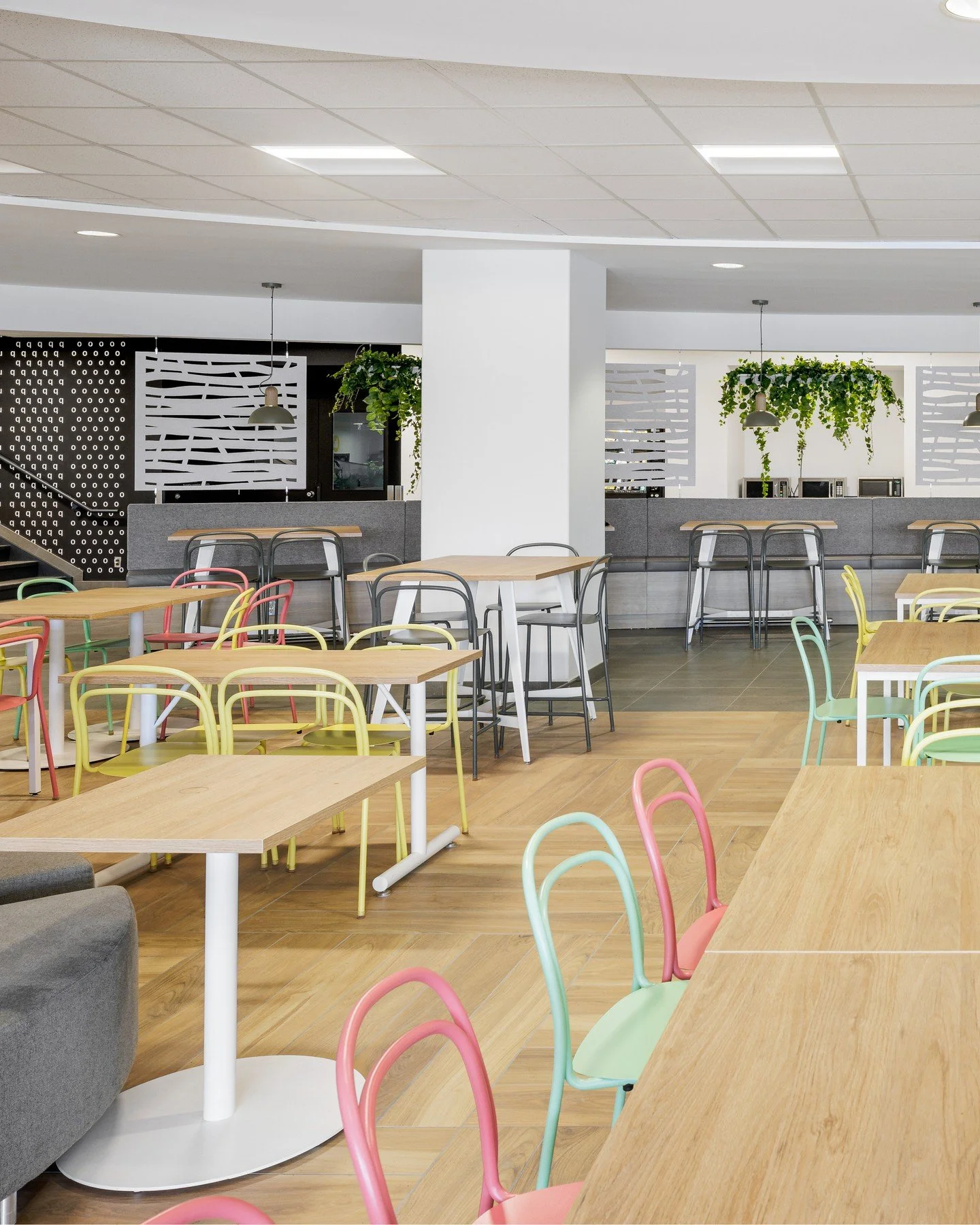 When you need a design that&rsquo;s light and airy yet sculptural and distinctive, think Catty. Catty chairs and stools bring energy and elegance to every room. Just take the Universit&eacute; du Qu&eacute;bec en Outaouais cafeteria: if Catty can mak