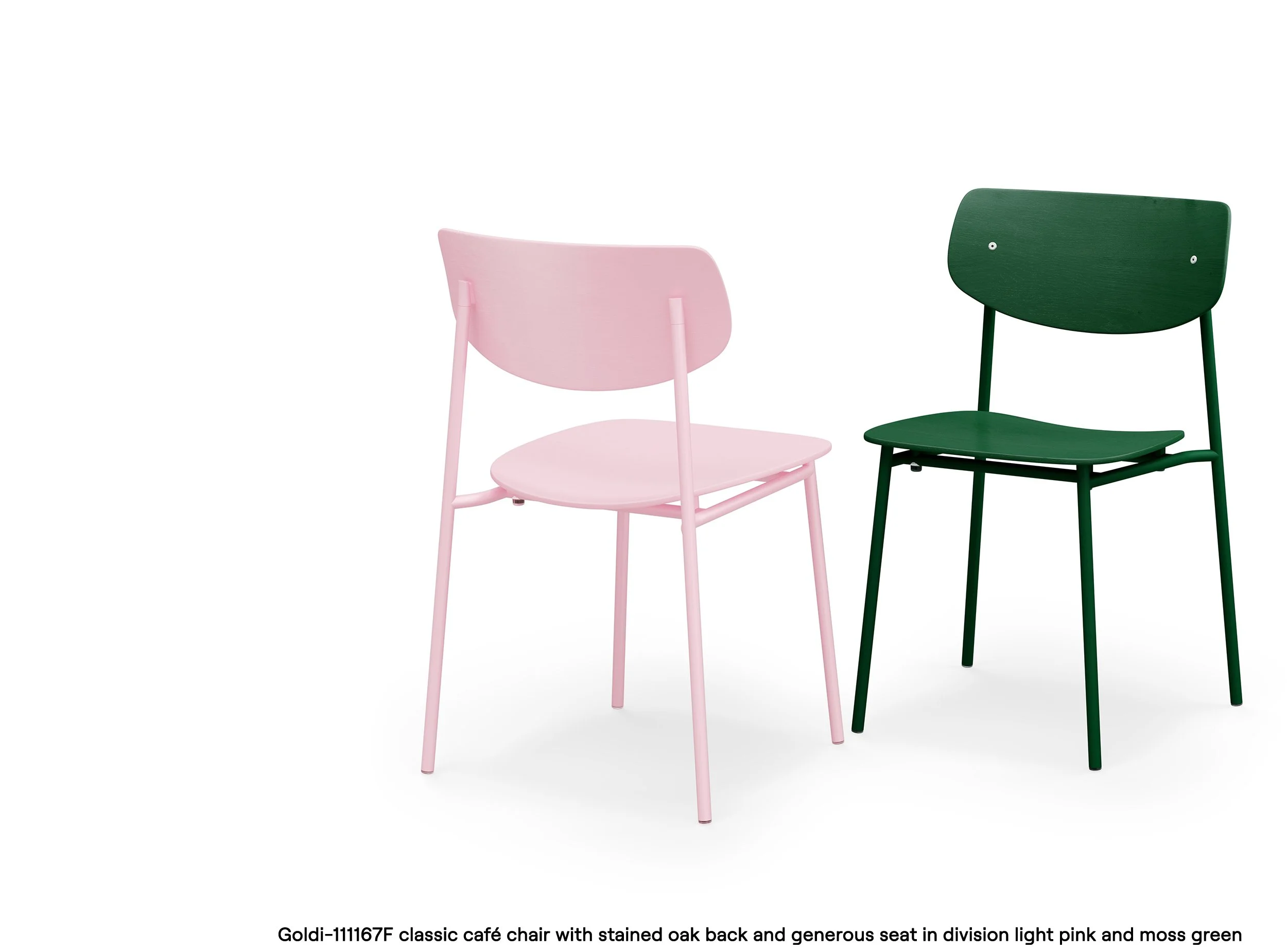 Goldi-111167F-front-and-back.jpg