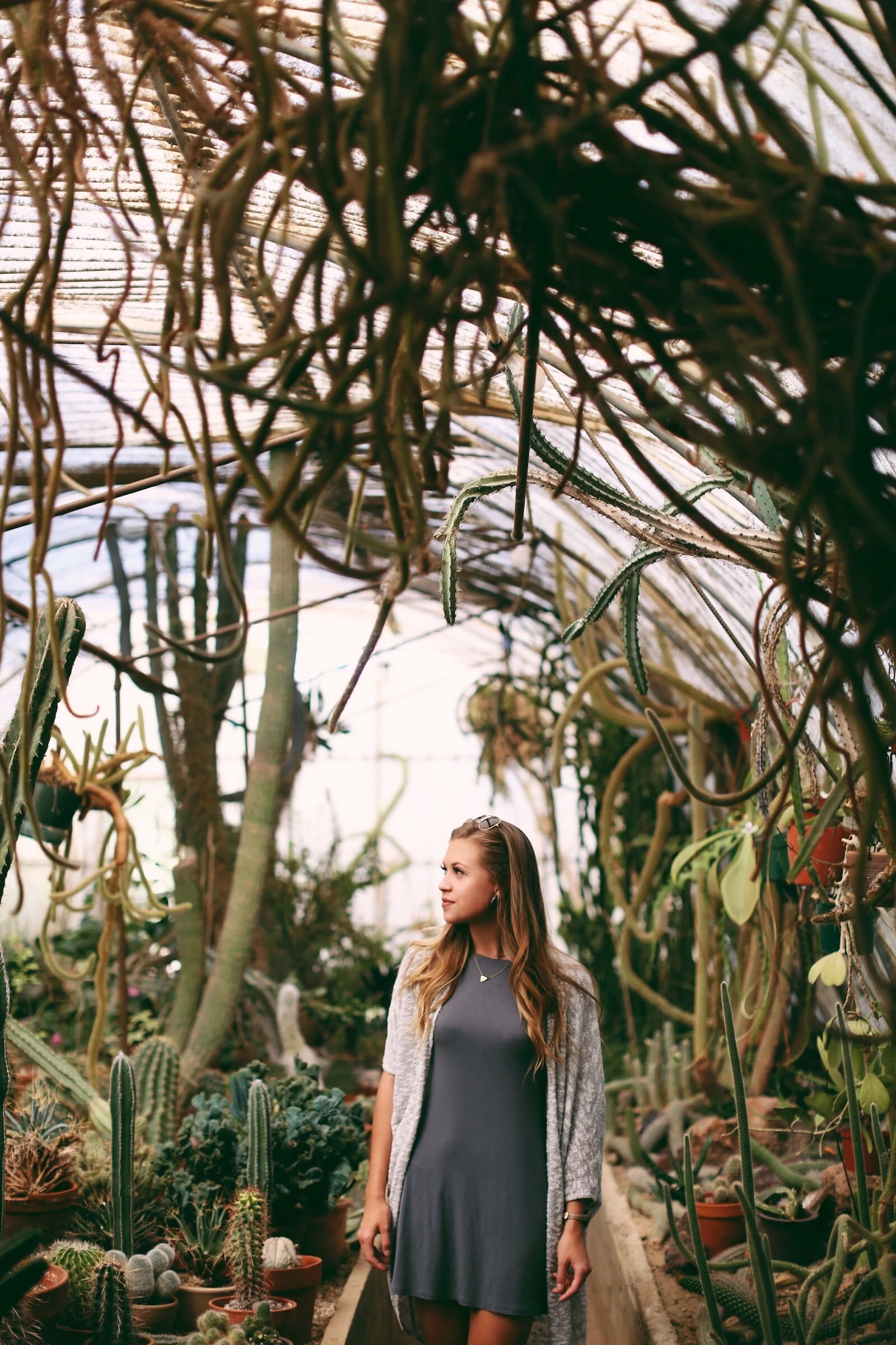 repurposing-content-how-to-palm-springs-botanical-garnden.jpg