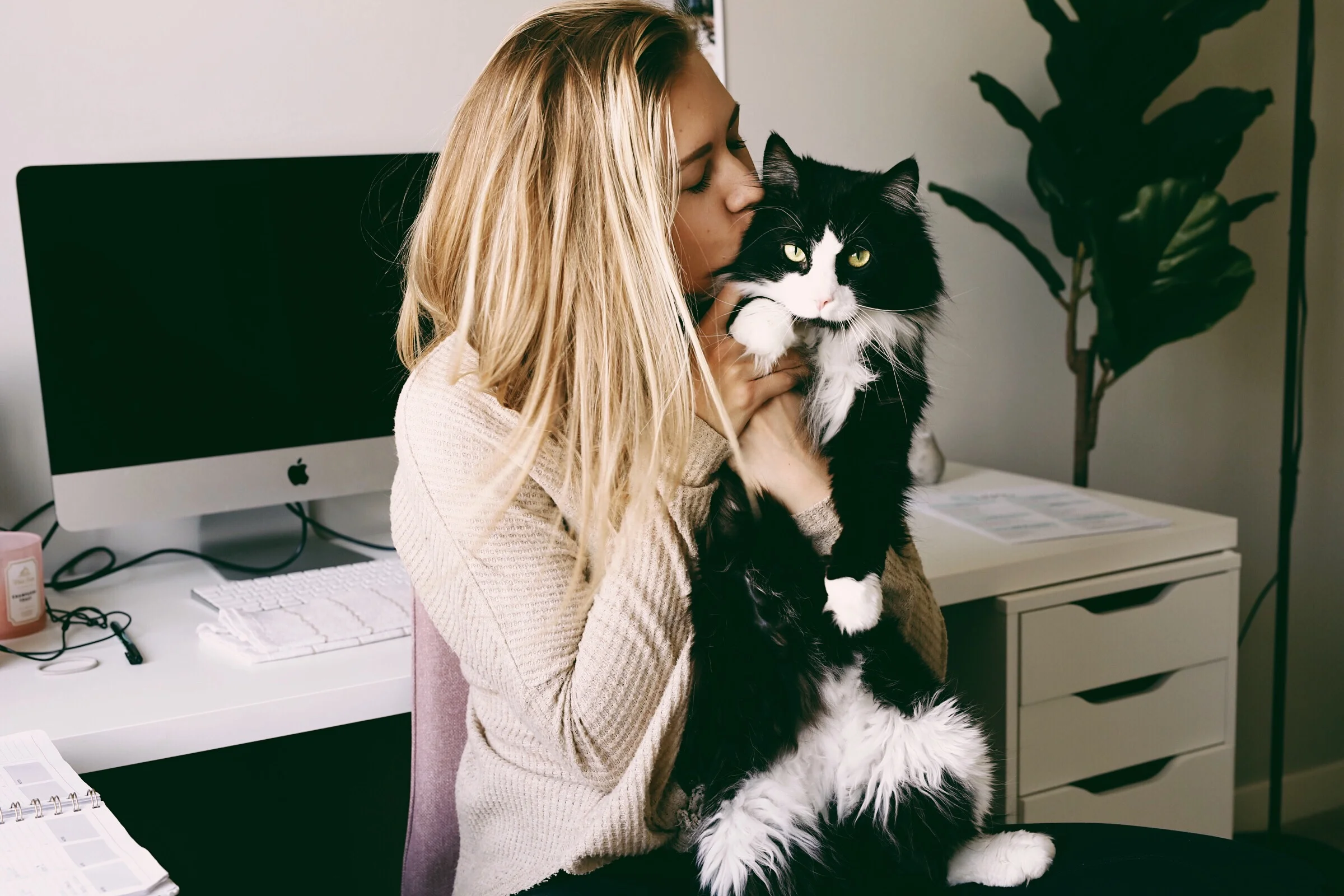 Only one of us is in love..