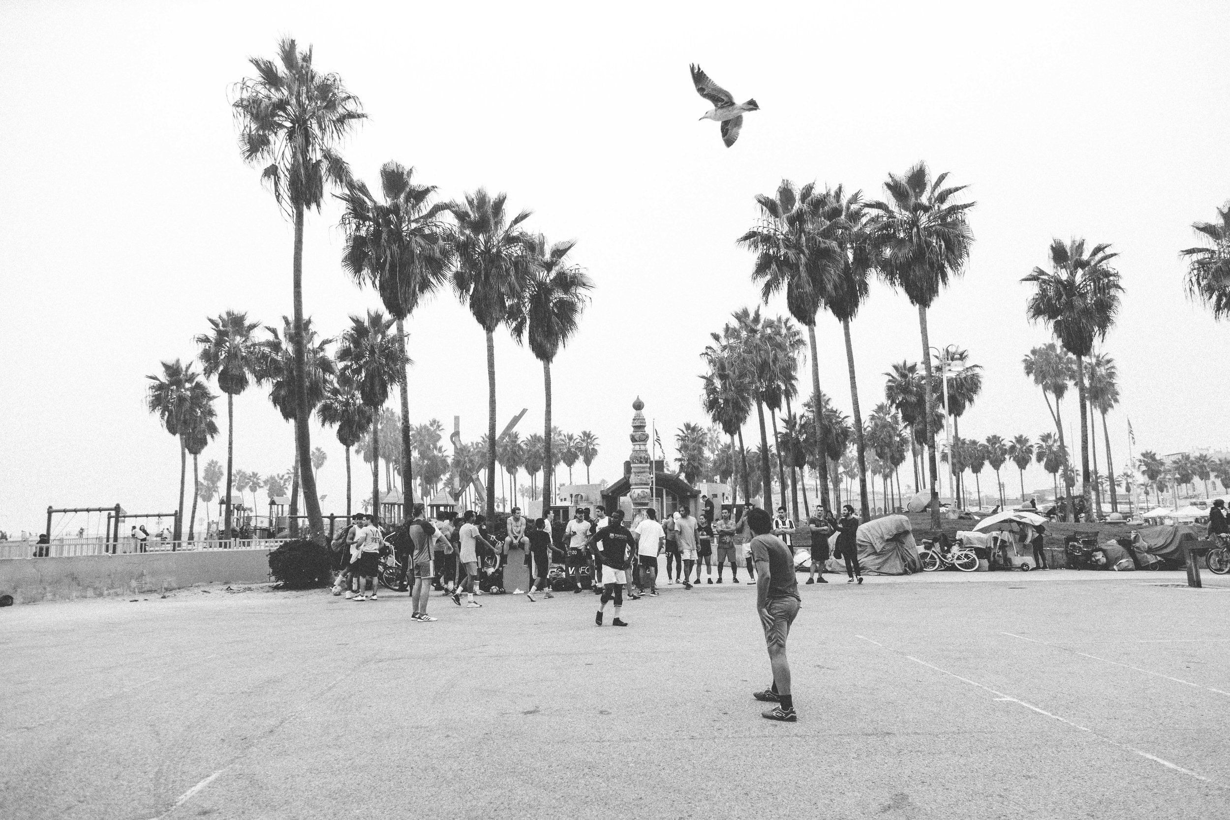 11-04-18-Venice Beach, VBFC Black and White-2546.jpg