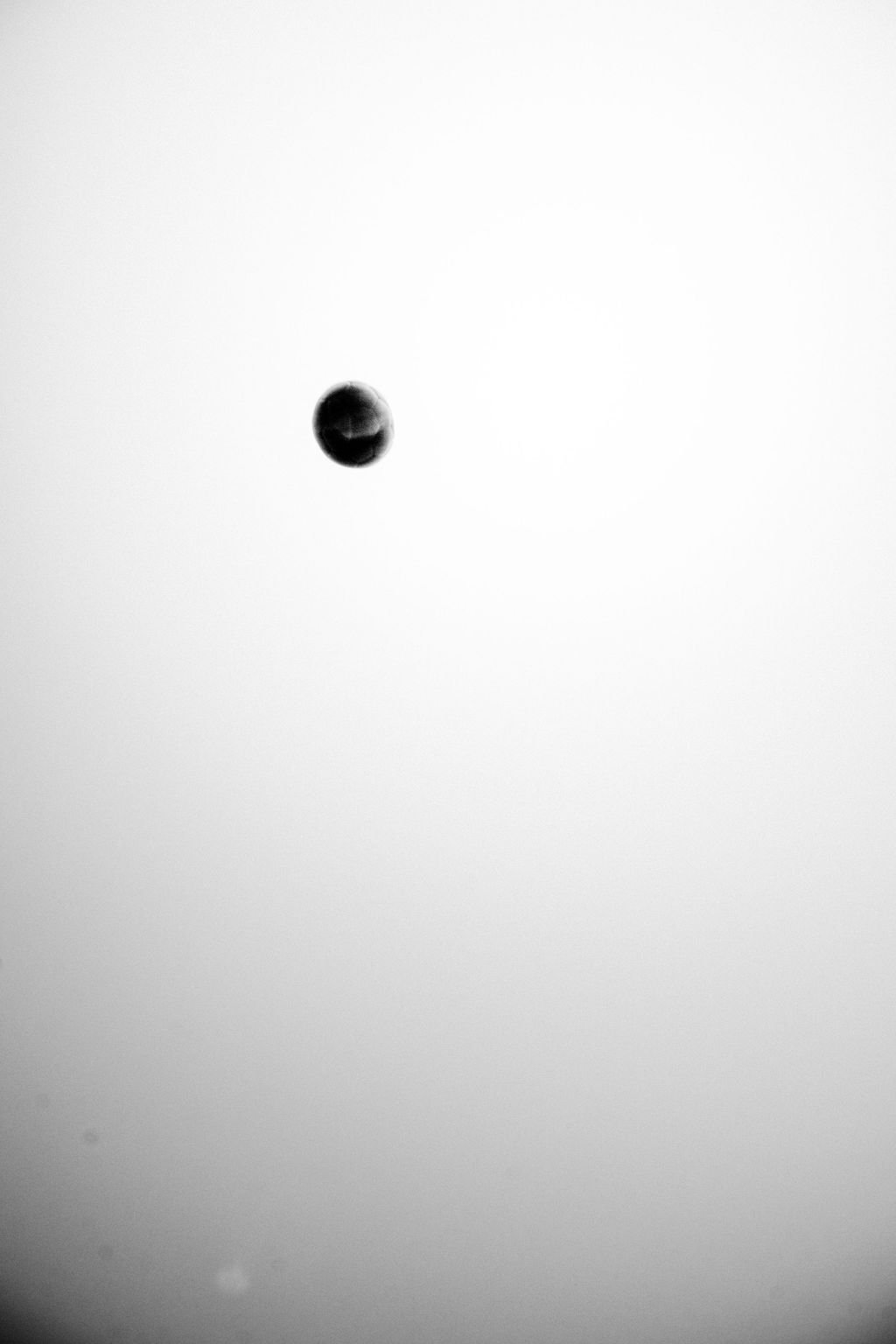 DSC_7961.jpg