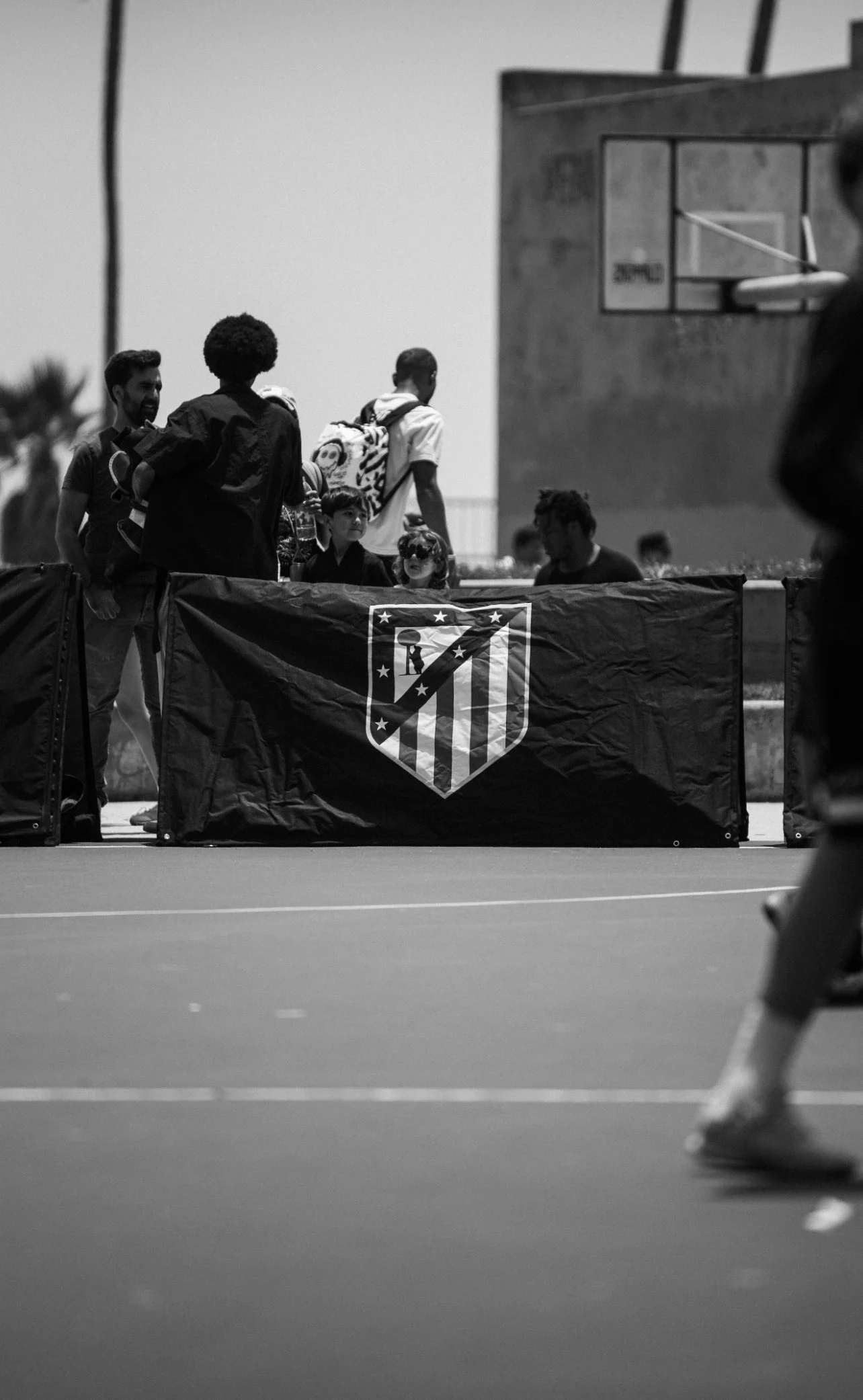 IMG_9503.jpeg