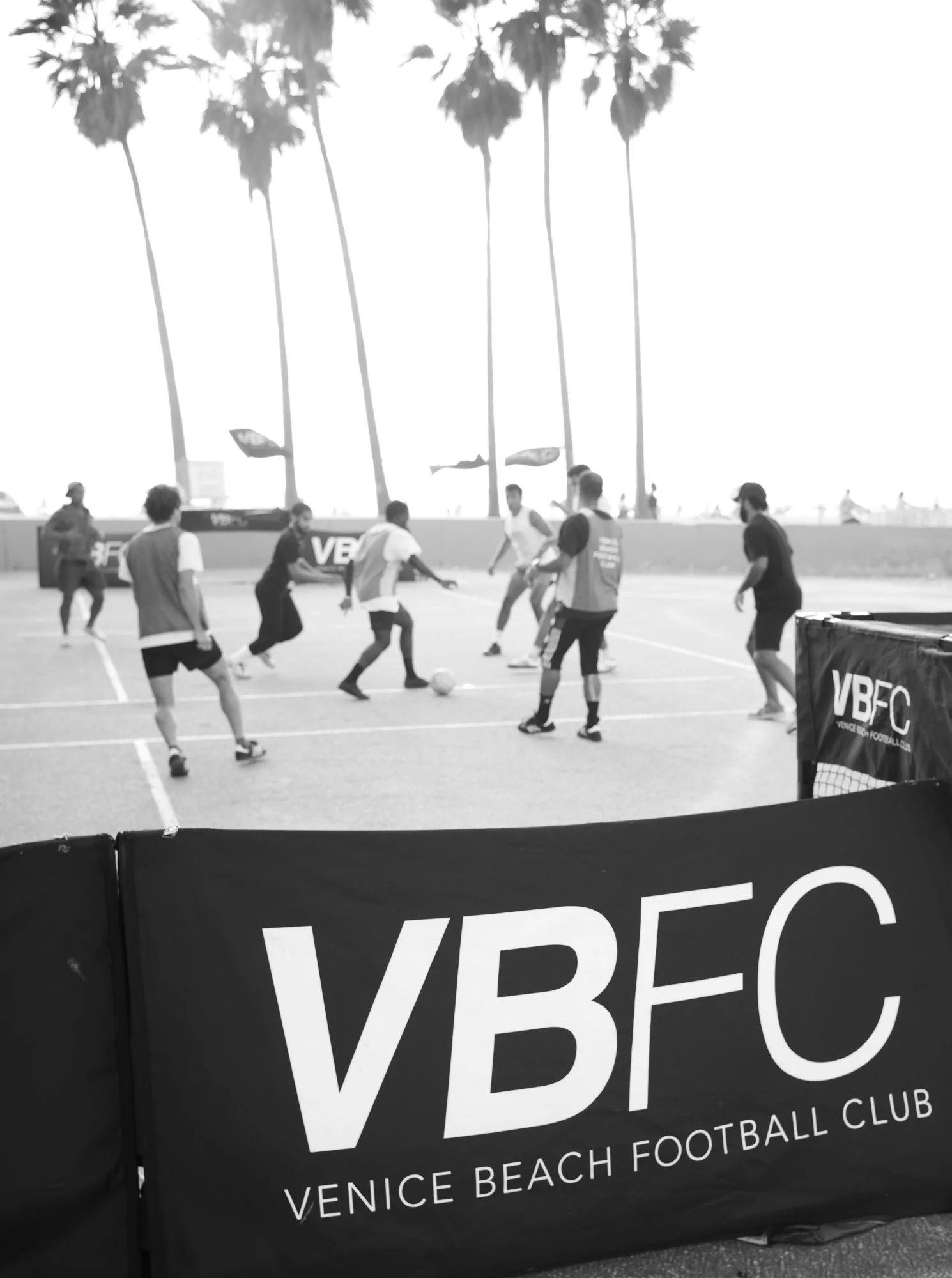 VB.FC-1003029.jpg