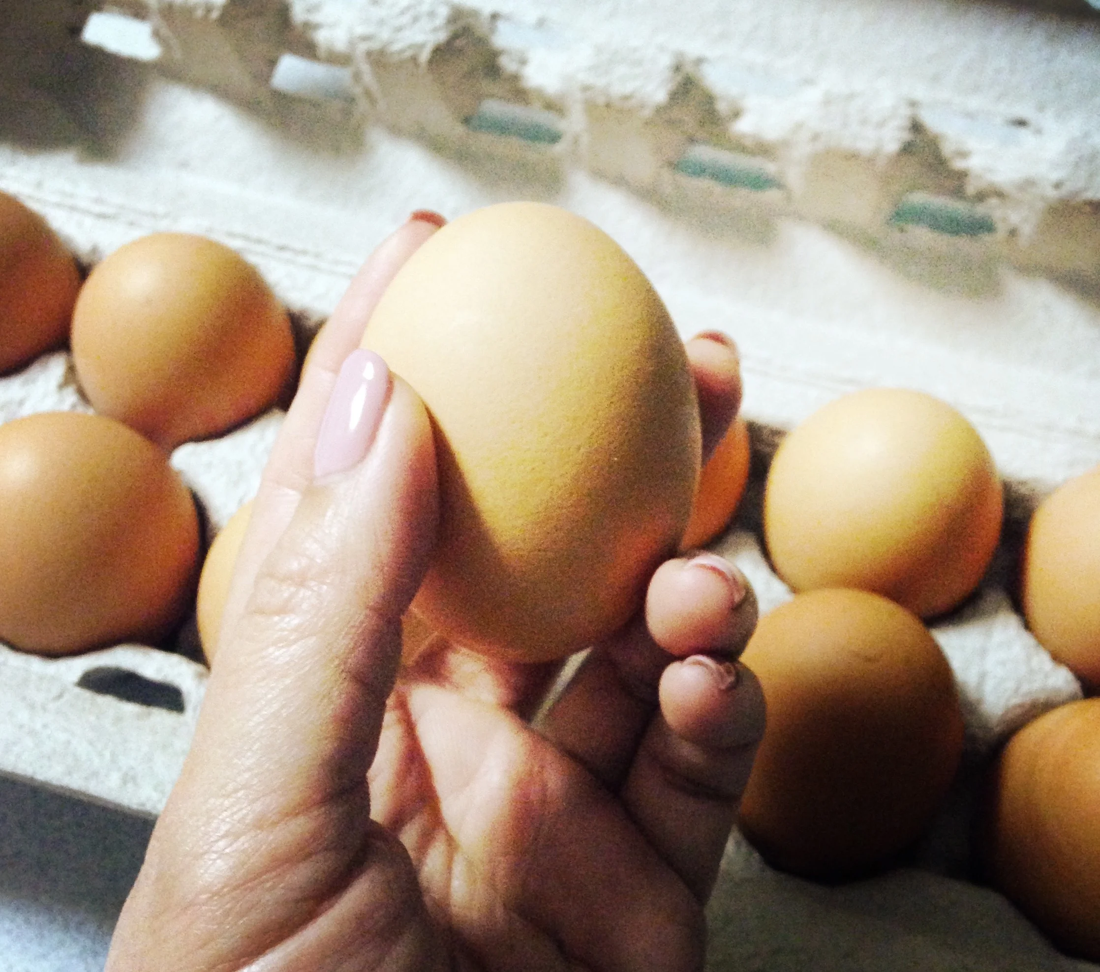 Ethical Eating: What is ‘better’ about free range eggs?