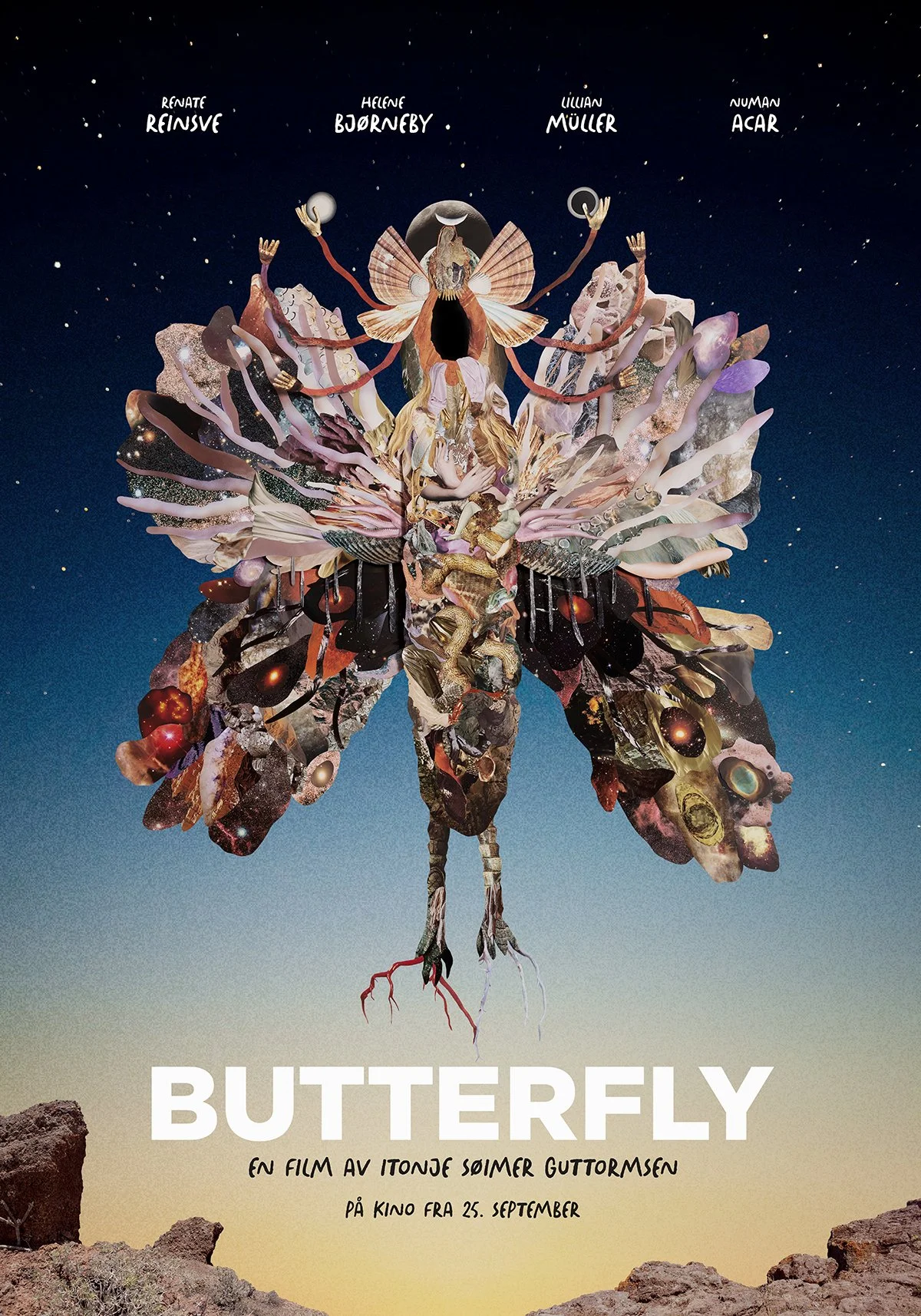 BFLY_TEASER_70X100_1200.jpg