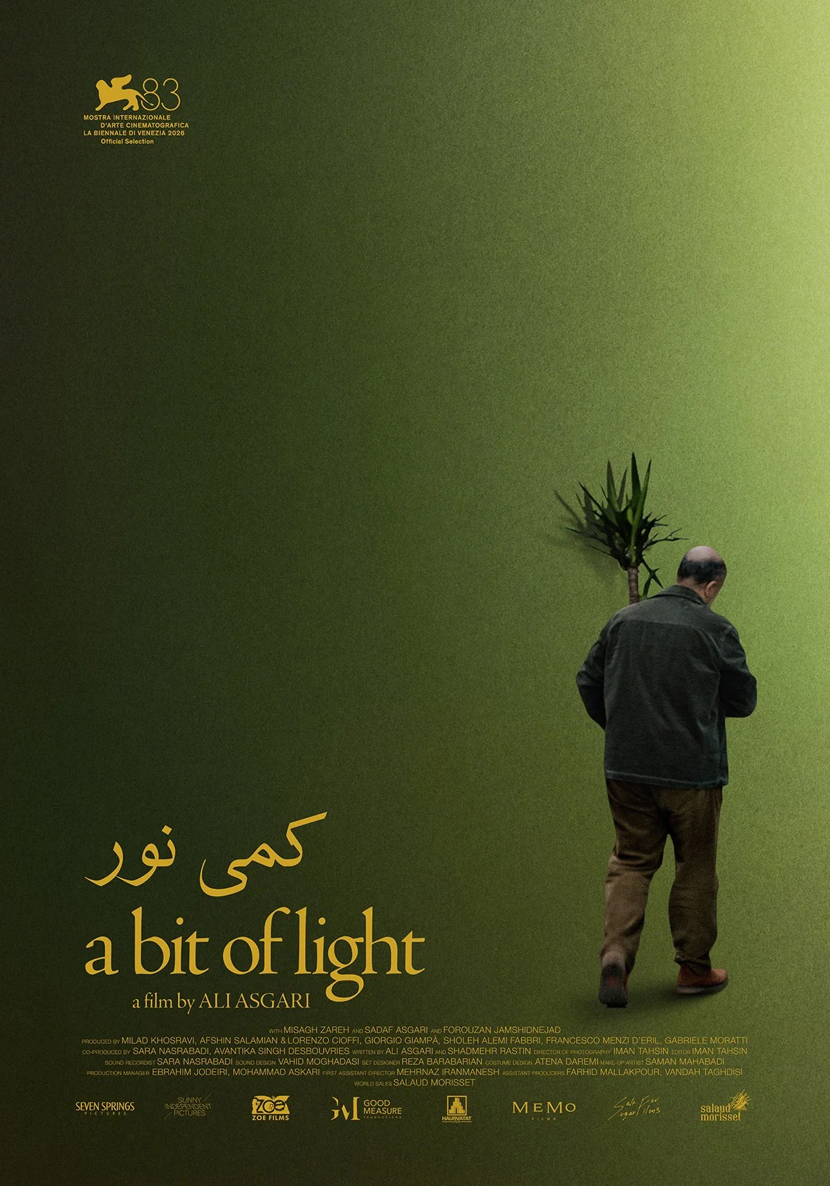 A_Bit_Of_Light_70X100_1200.jpg