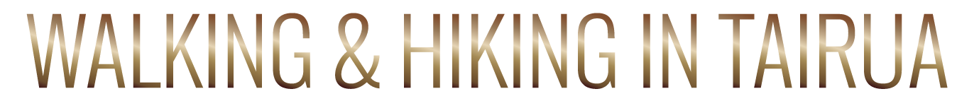 TIC Walking & Hiking in Tairua Text.png