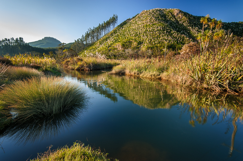 pauanui-tairua-34.jpg