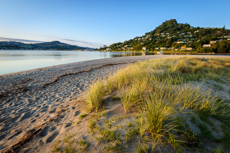 pauanui-taurua-harbour-beach.jpg