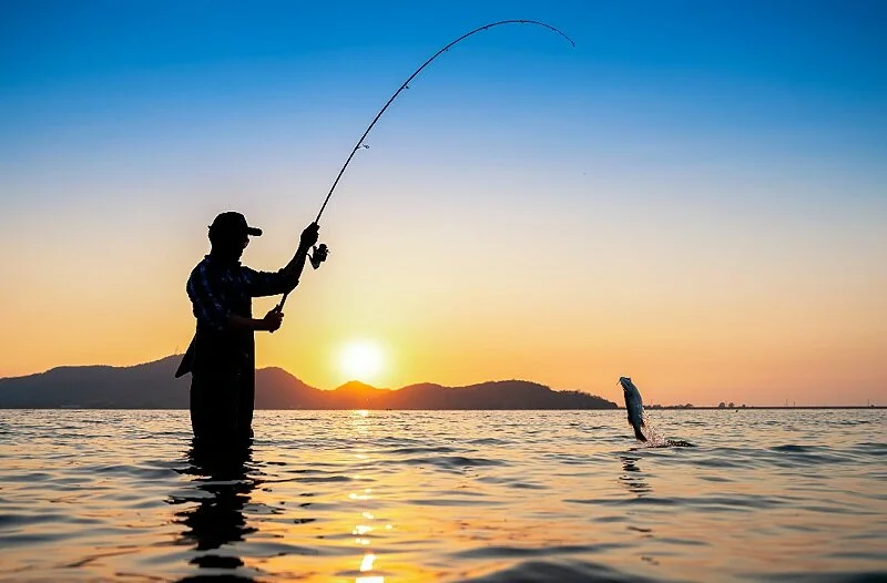 Fishing / Marine — Tairua Information Centre