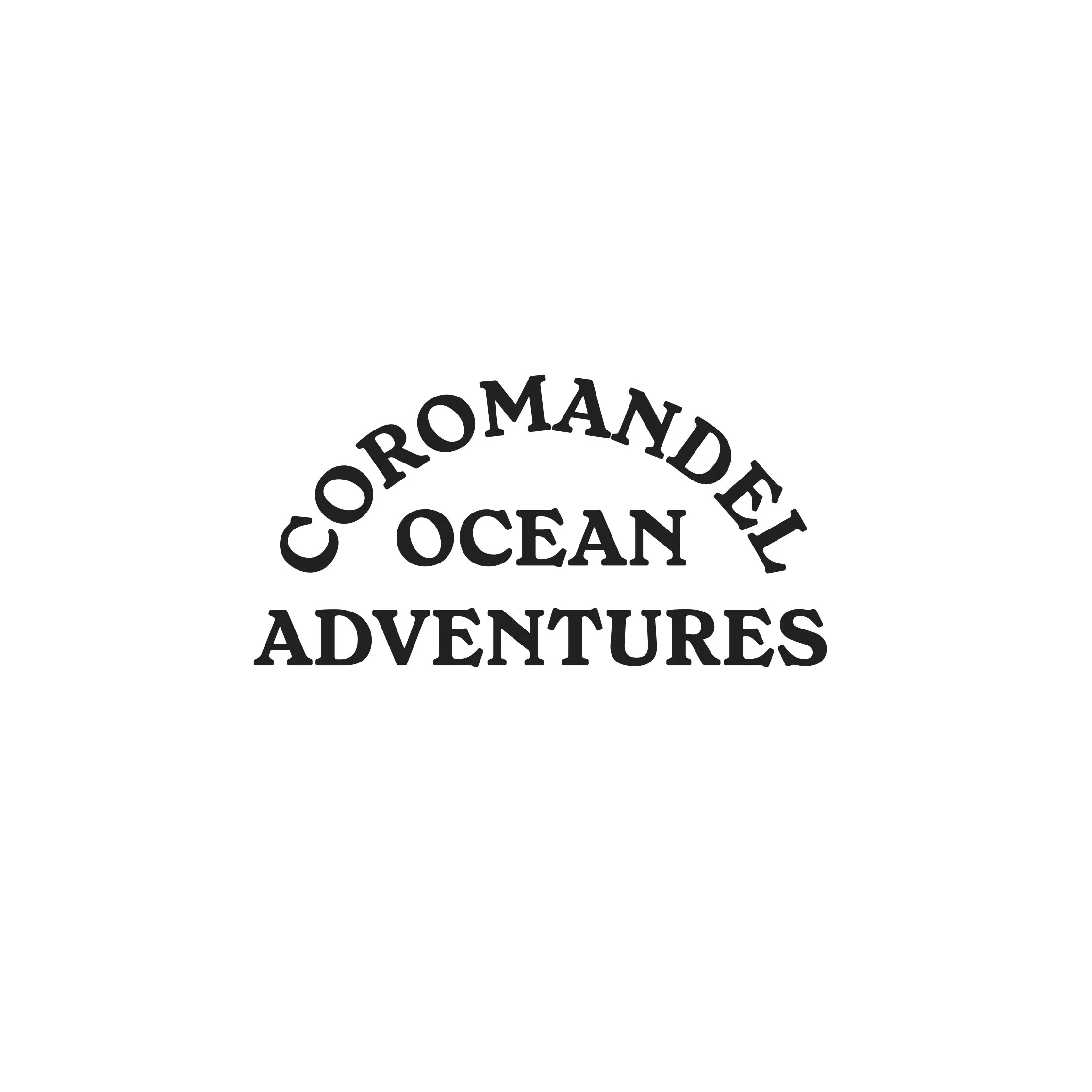 COA - Logo - Icon Artboard 1 copy (1)_page-0001.jpg