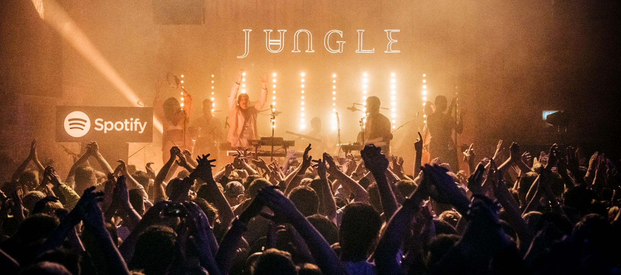 SpotifyJungle21.jpg
