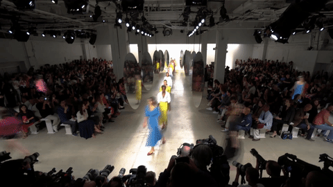 giphy-5.gif