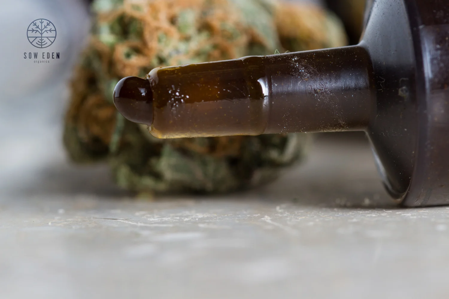 Full-spectrum CBD oil is highly viscous and contains a wide range of cannabinoids.