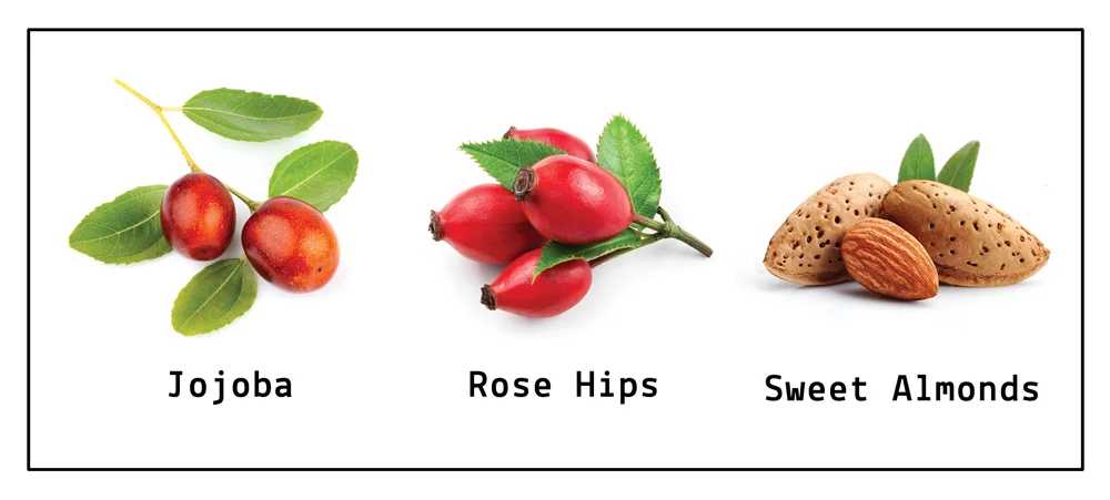 Bloom’s power trio of superfood oils are rich in anti-oxidants, vitamin C, trans-retinoic acid (‘retinol’), the natural form of Vitamin A, beta-Carotene, and essential fatty acids that nourish and repair the skin.
