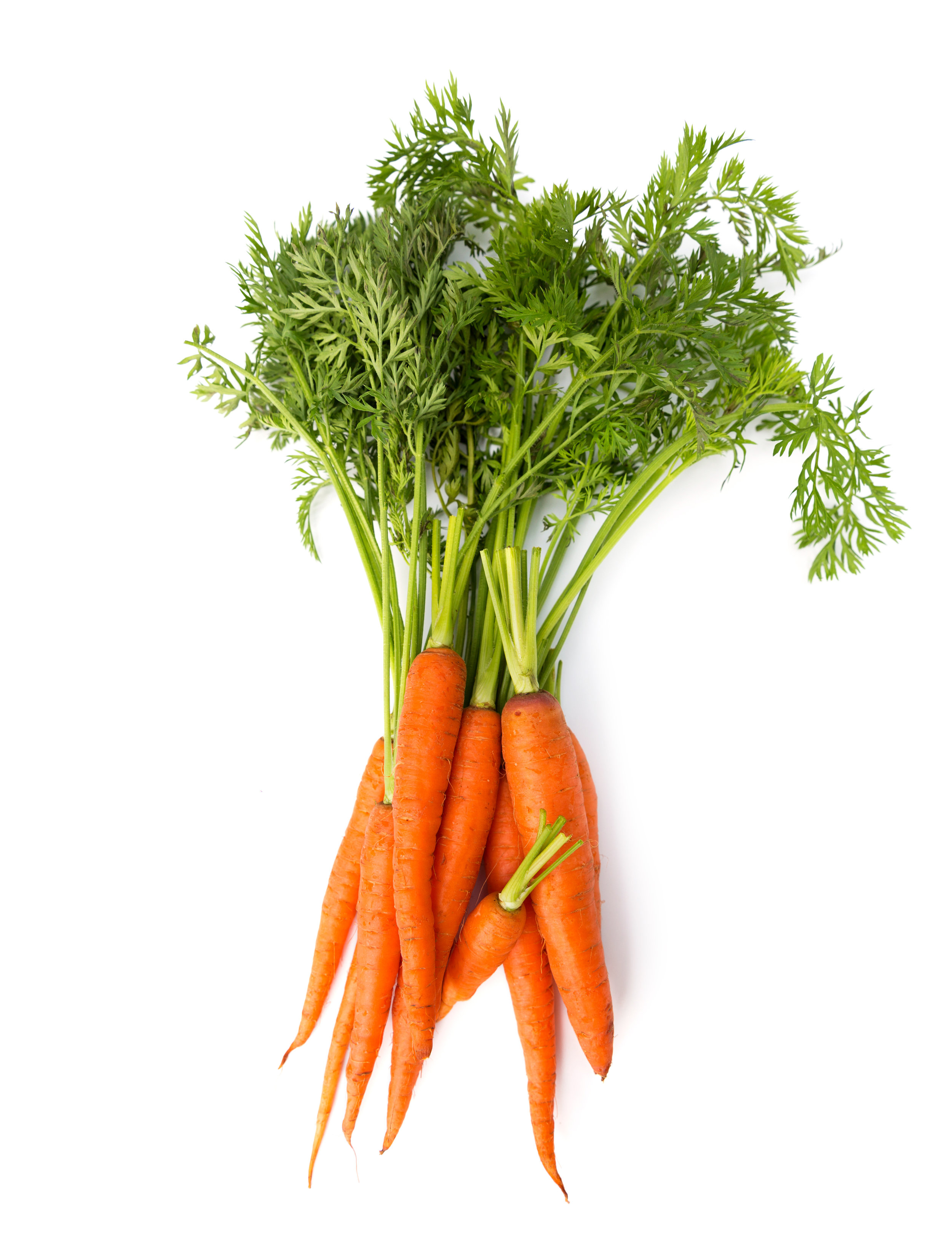 AdobeStock_220578800.jpeg
