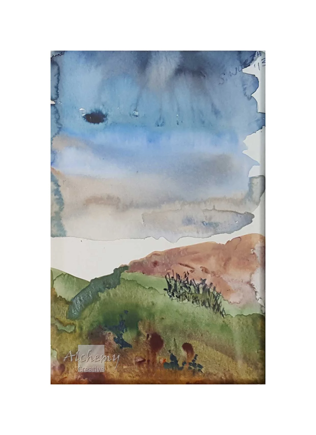 Coastal Heath 2013 130mm x 180mm Support: Paper Matte: No matte Frame: White - grain finish