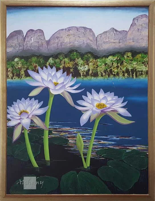 Kimberley Flora Series - Waterlillies  1992 900mm x 1200mm Oil and acrylic on hardboard (A. Butorac)