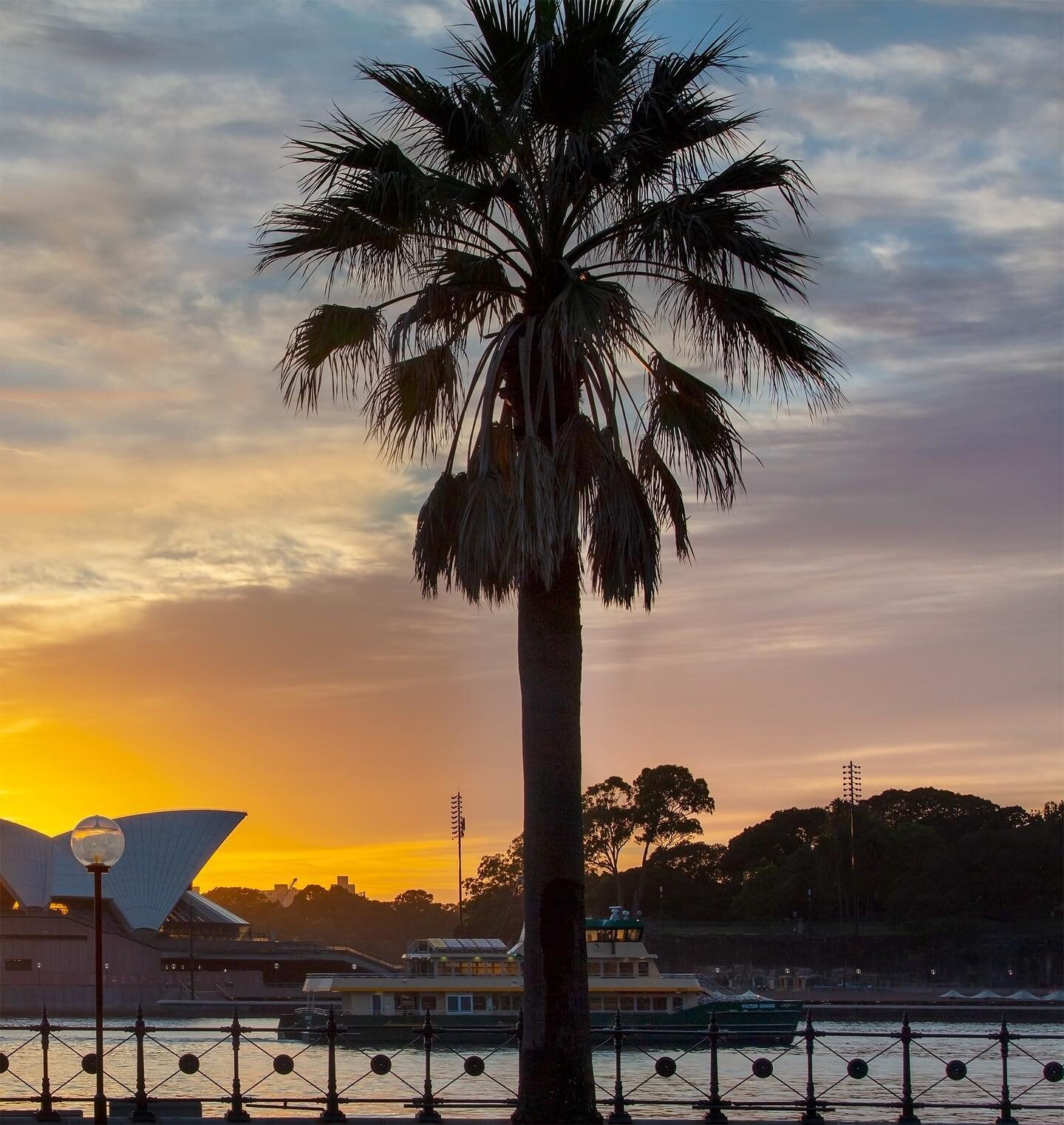 D A Y⁠⠀
⁠⠀
⁠Here is the 3RD of three images, to make up my panoramic image.
⁠⠀
Happy Australia Day everyone. 🇦🇺⁠ 🥳🥂🍾⁠⠀
⁠⠀

#sydneyoperahouse #sydneyharbour #sydneyferries #ig_sunrise #ig_sunrisesunset #ilovesydney #sydneylocal #visitsydney #visi