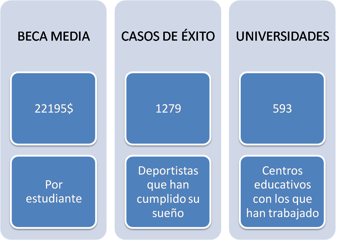 grafico post profesional.png