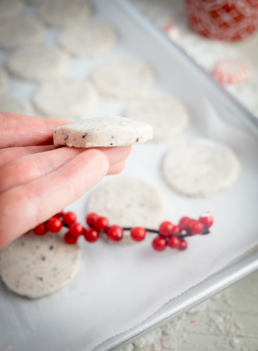 peppermint-mocha-patty-candy-christmas