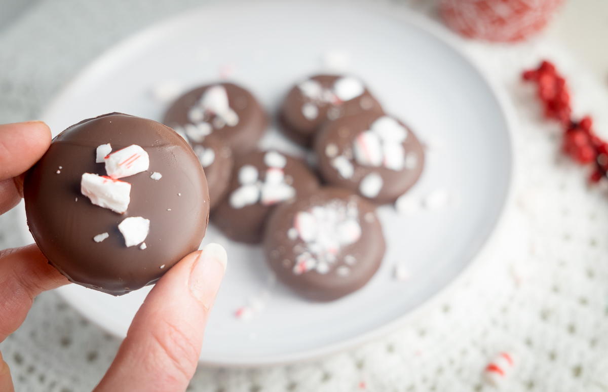 peppermint-mocha-christmas-candy-patty