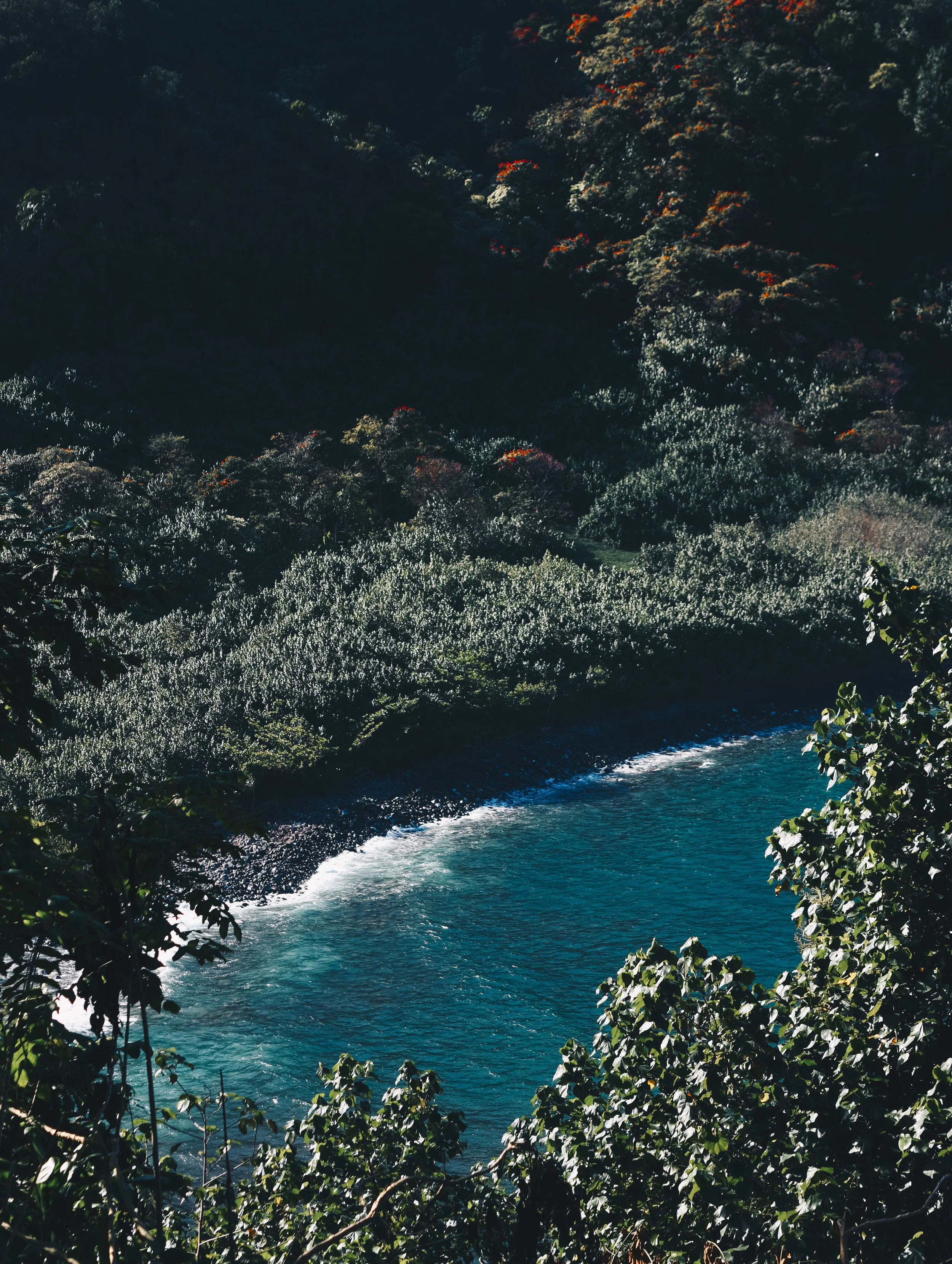 DSC_7166.jpg
