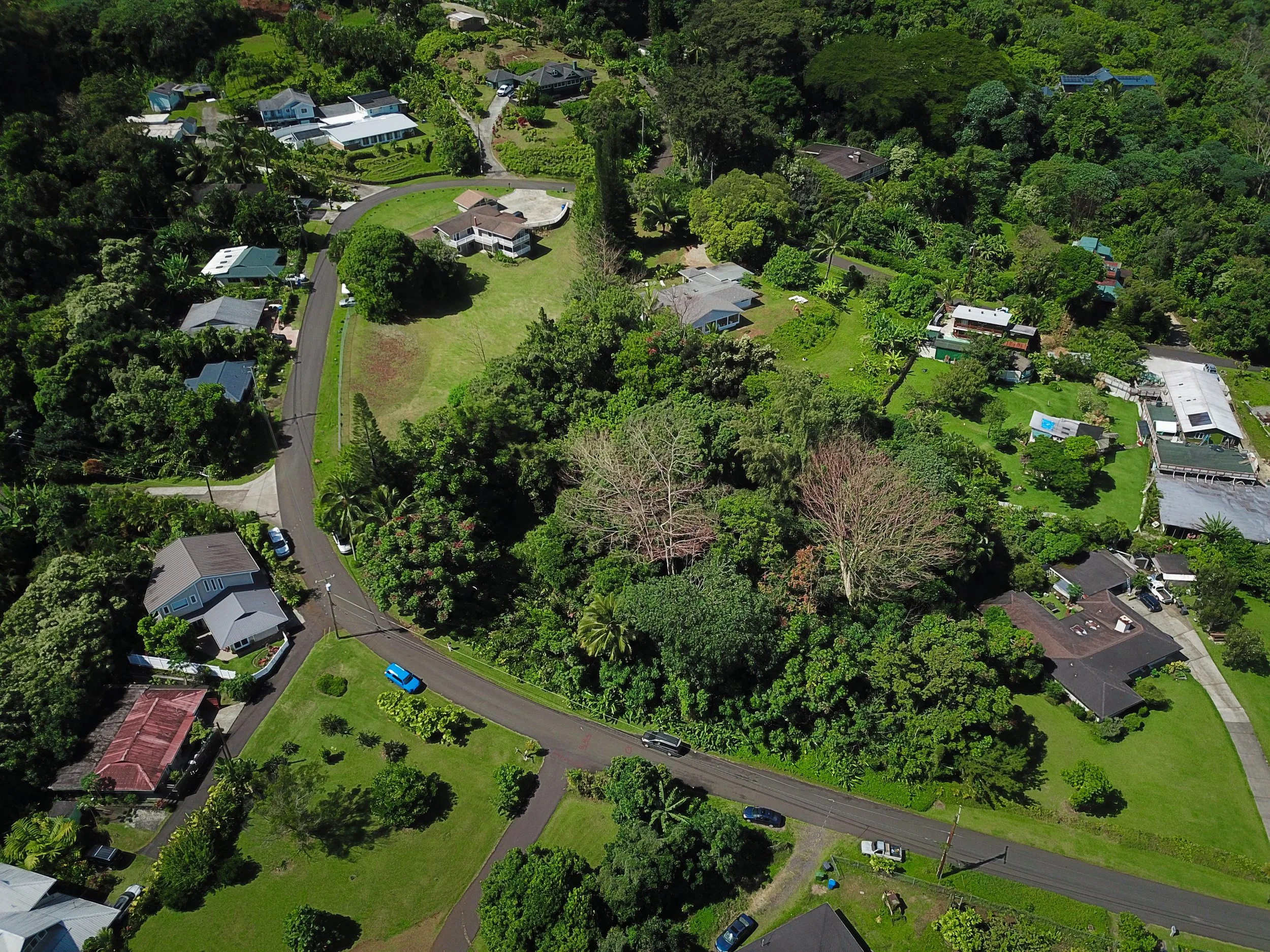 47-709 ahuimanu loop0008.JPG