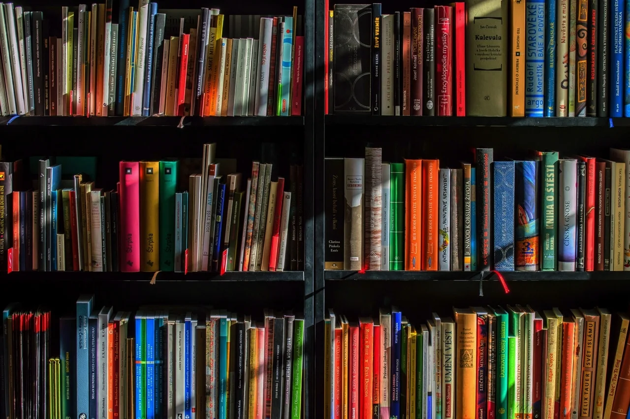 014 - The Shoulders of Giants - Top 10 Must Read Books With John Ndege