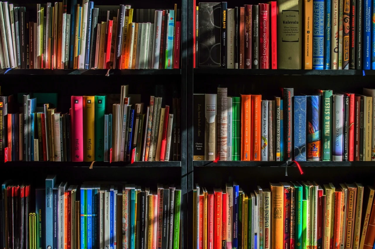 The Shoulders of Giants - Top 10 Must Read Books With John Ndege